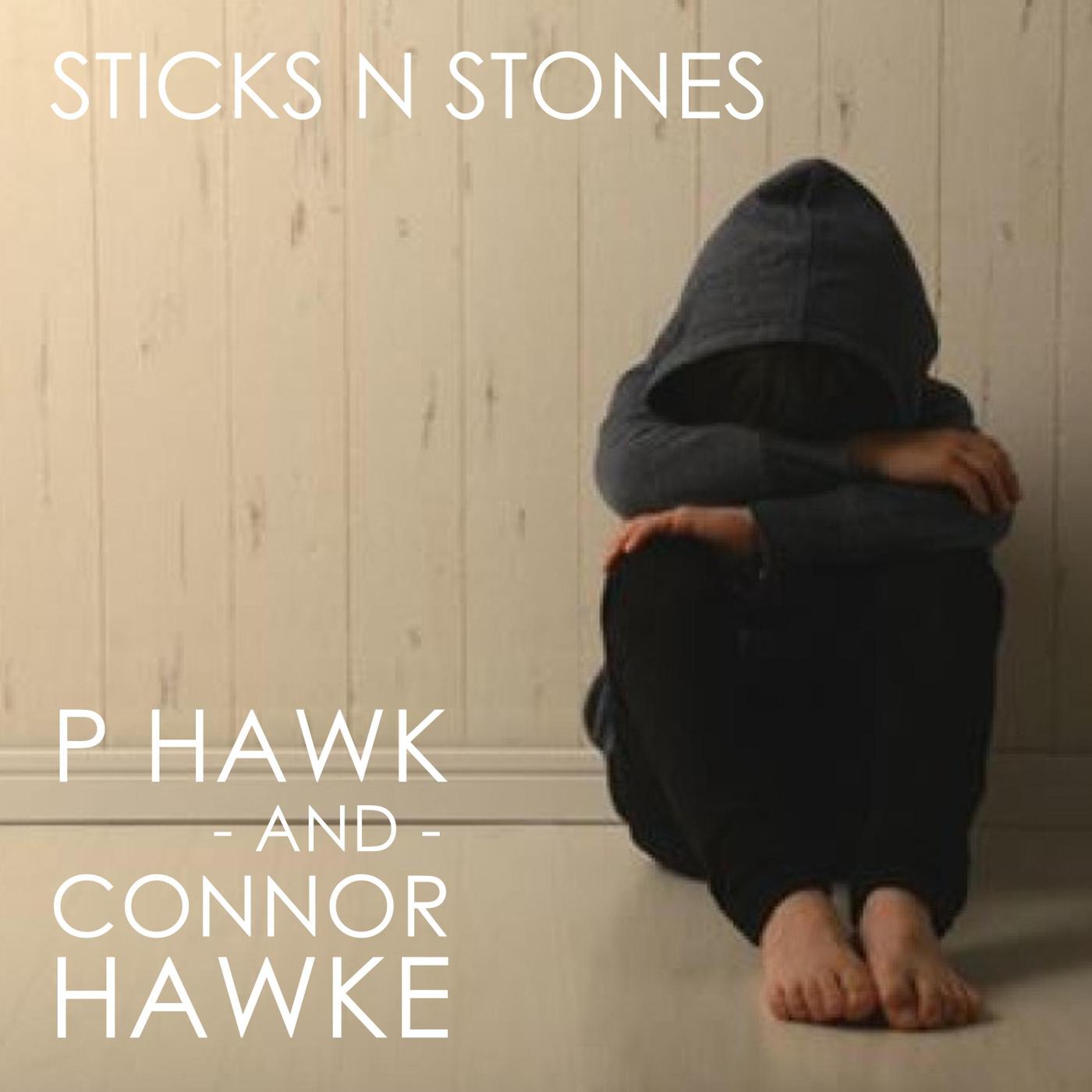 Sticks n Stones