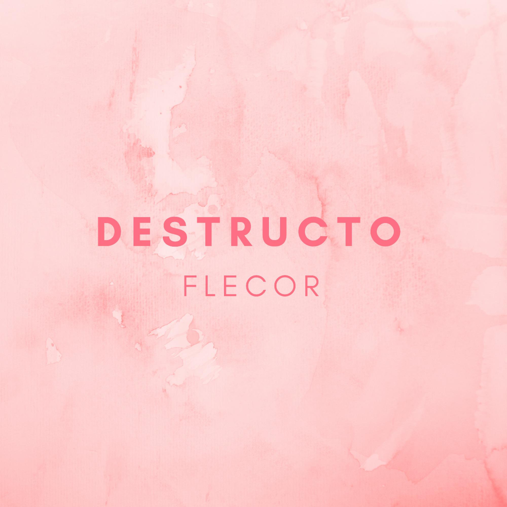 Destructo