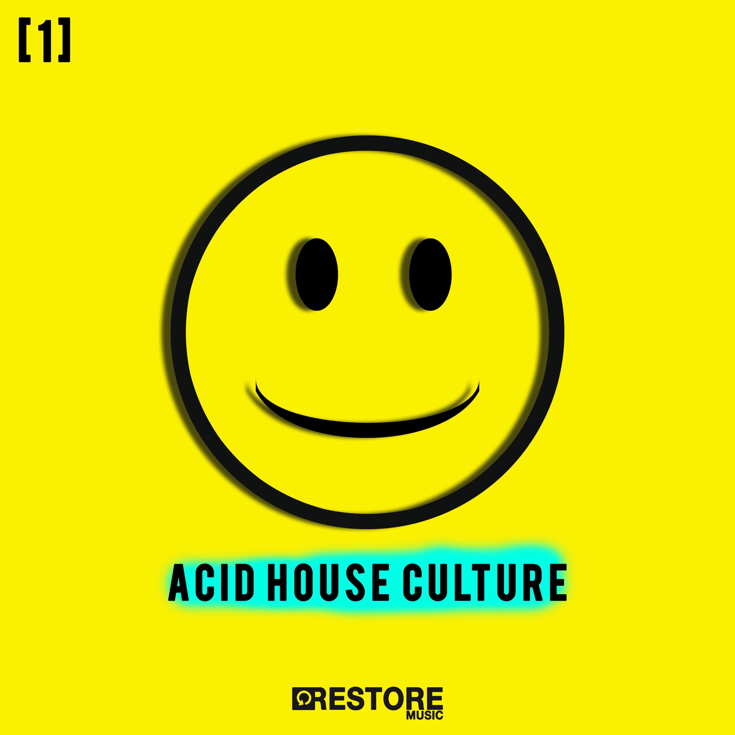 Acid House Culture, Vol. 1