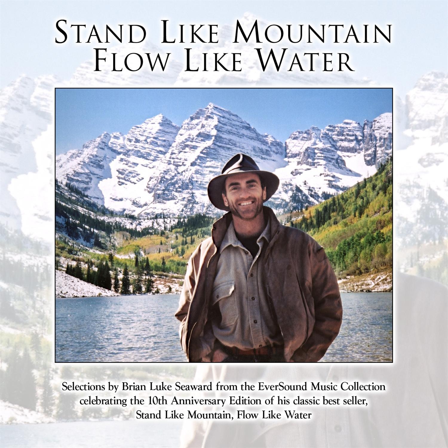 Stand Like Mountain, Flow Like Water