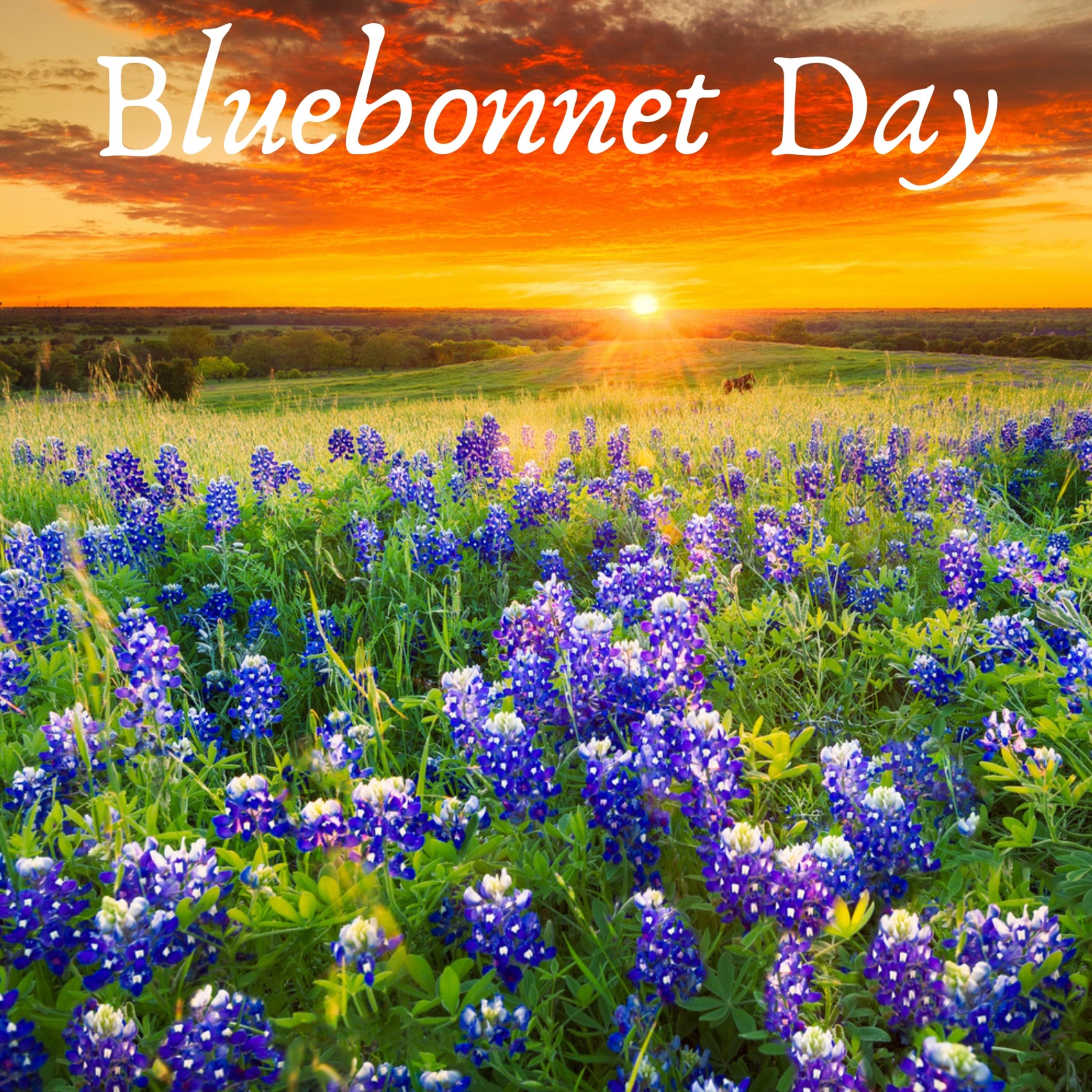 Bluebonnet Day