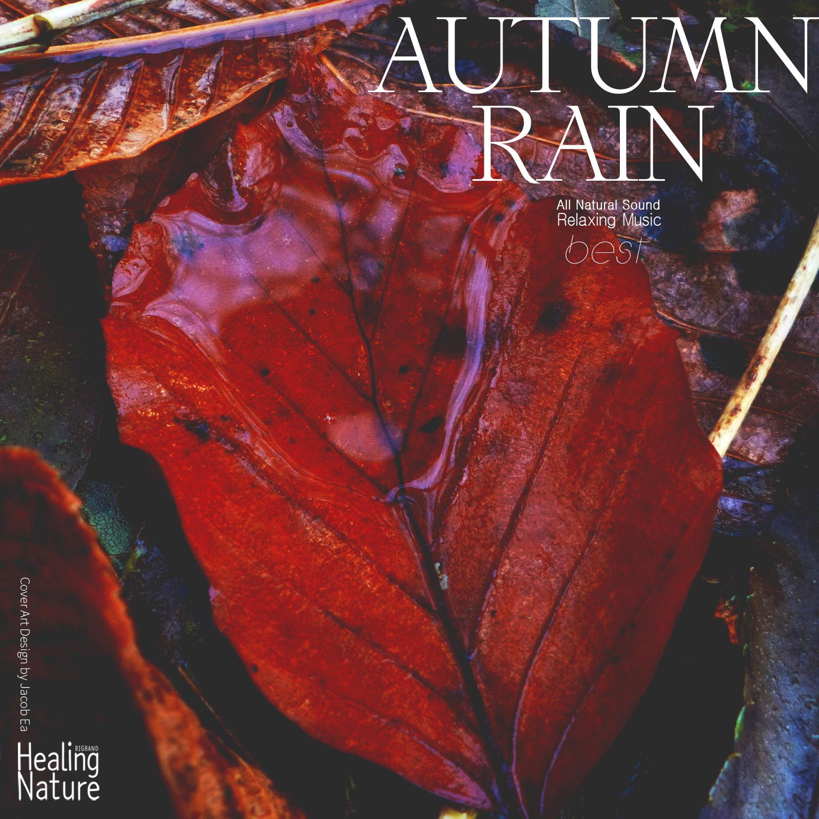 Autumn Rain Sound 10