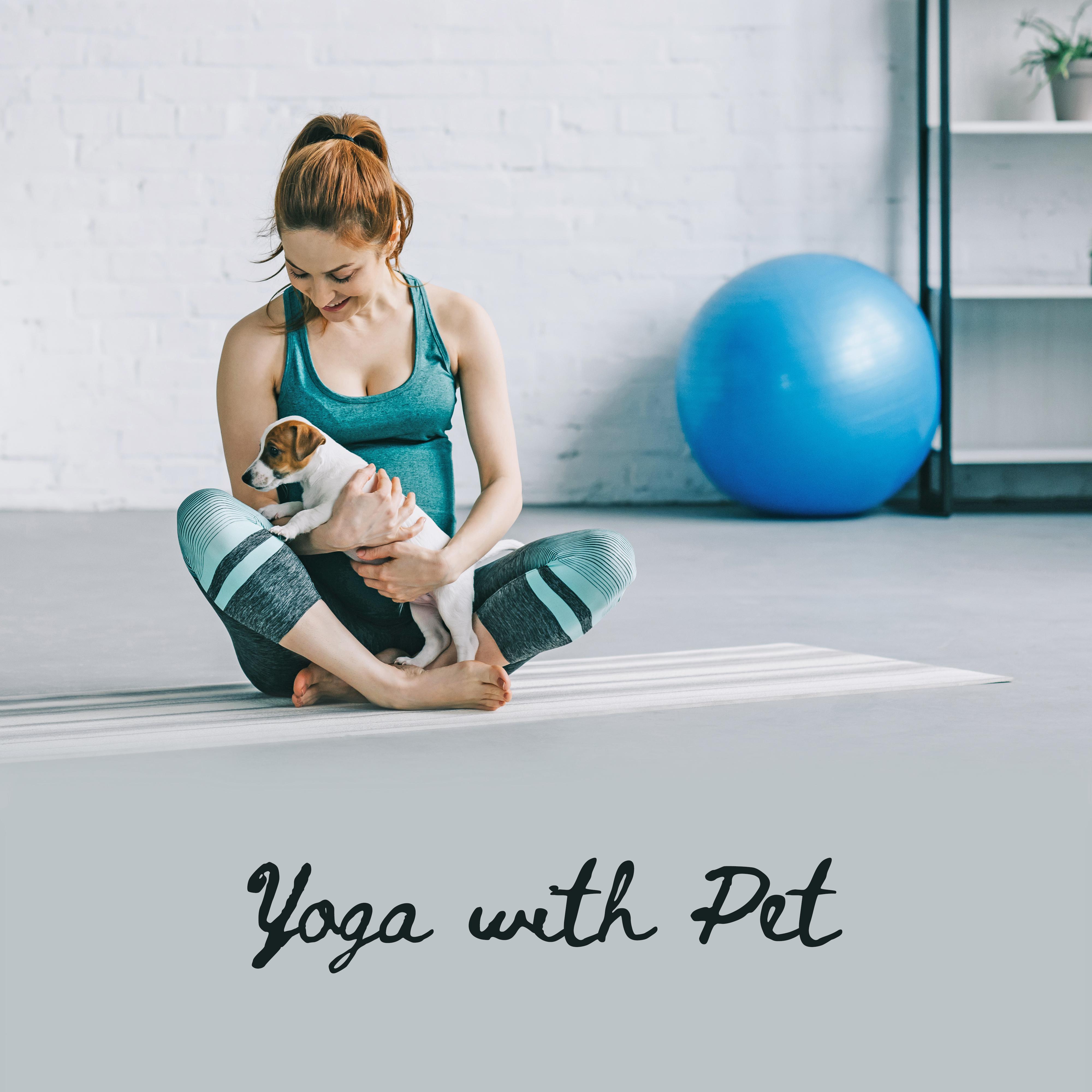 Yoga with Pet