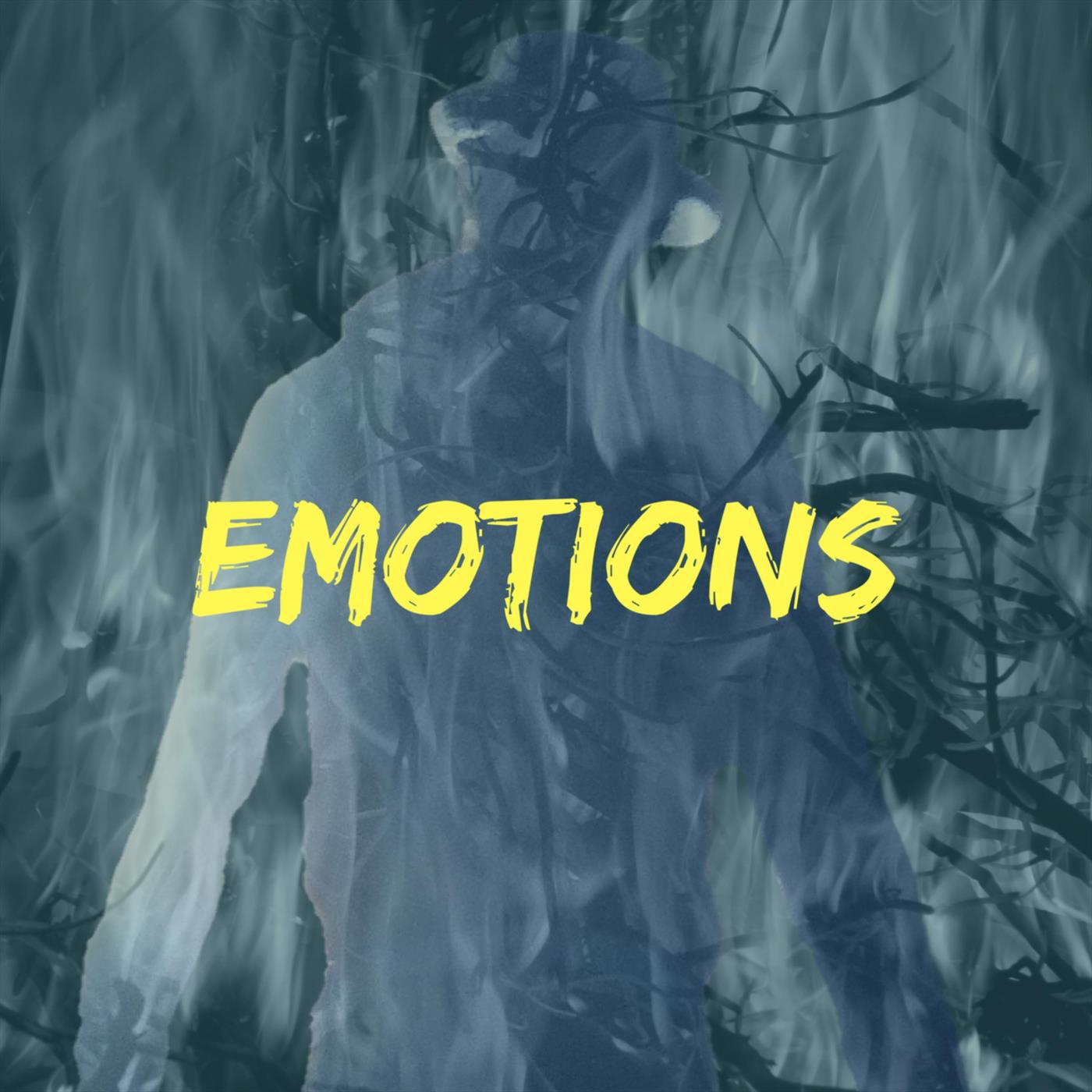 Emotions