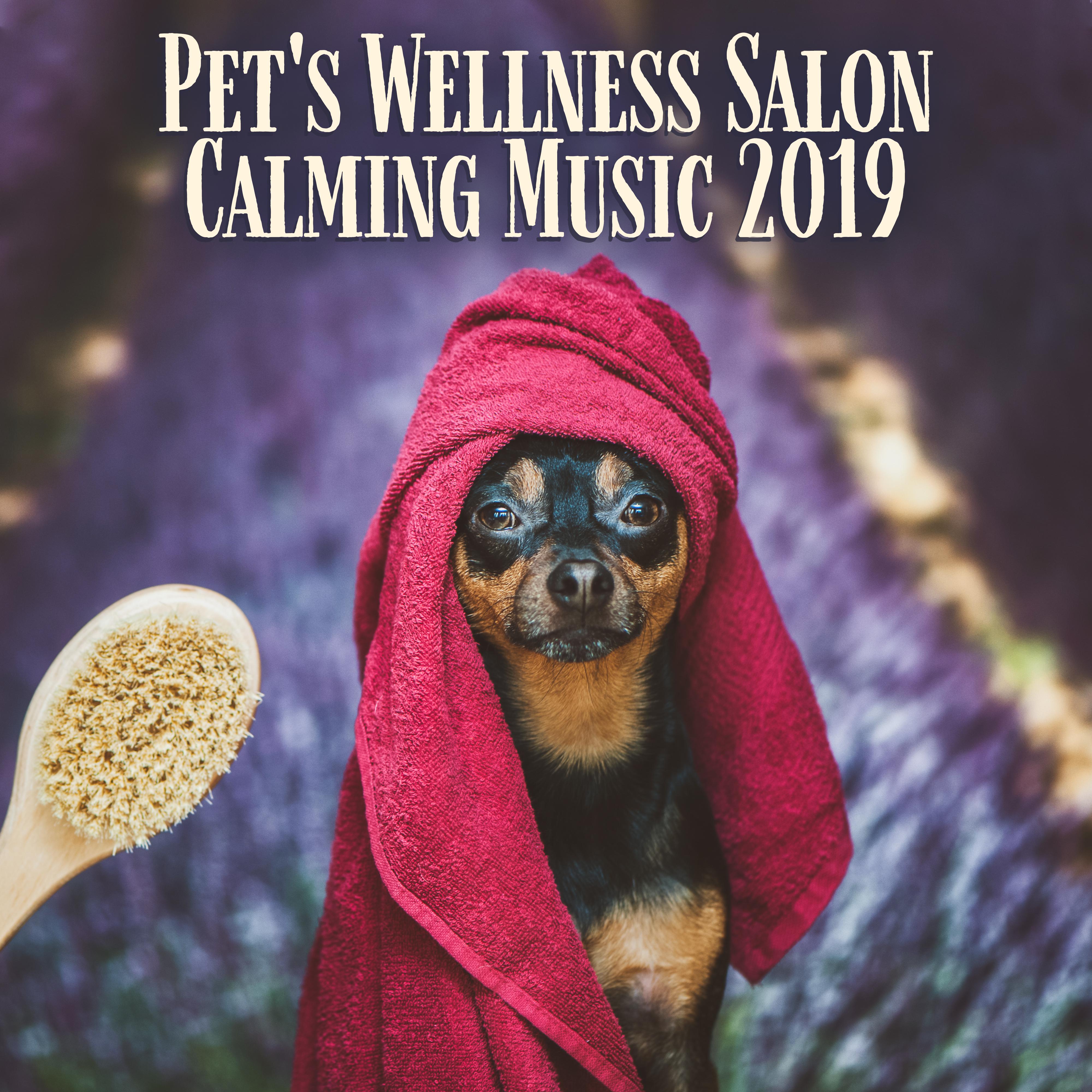 Pet's Wellness Salon Calming Music 2019: 15 New Age Pet Therapy Songs