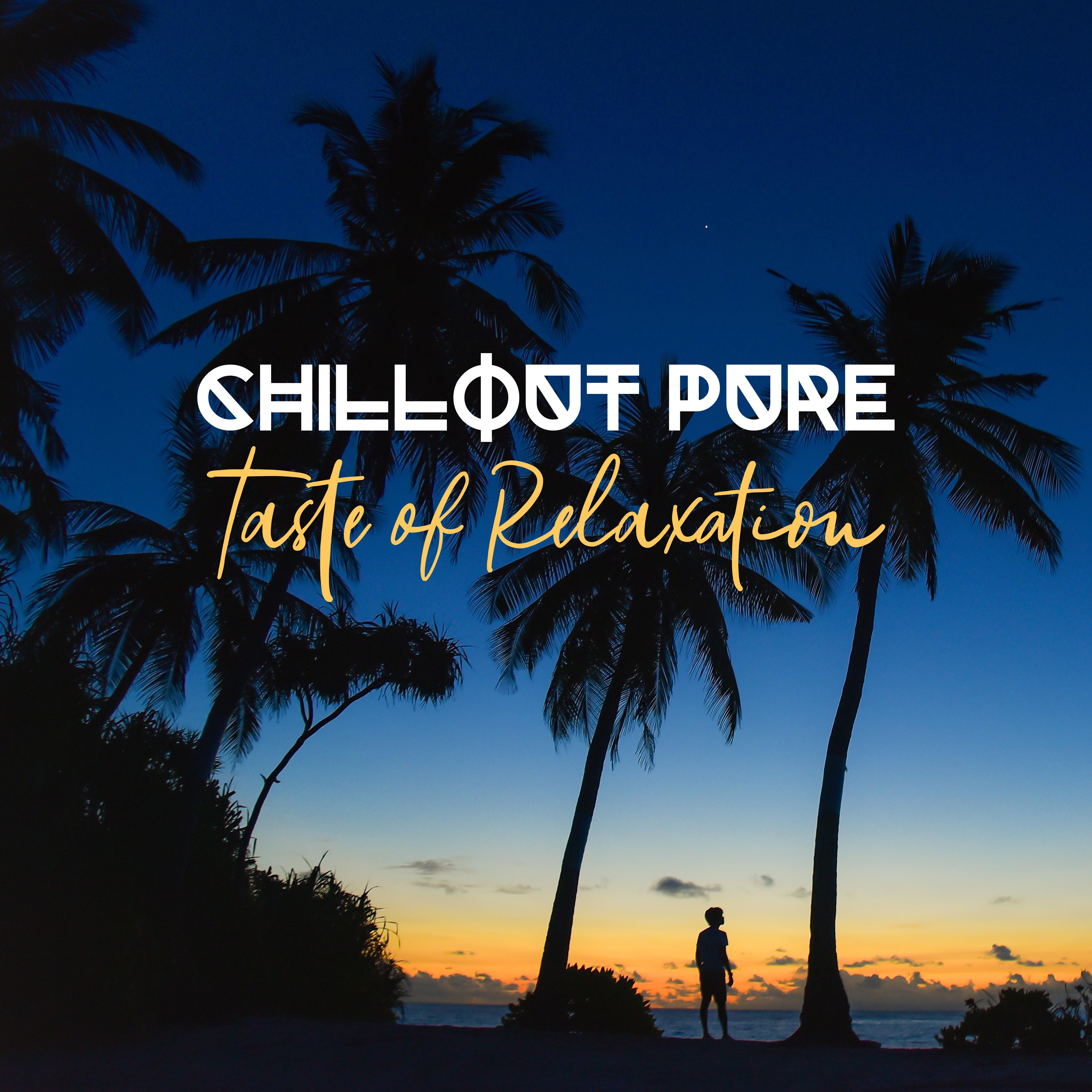 Chillout Pure Taste of Relaxation: 2019 Chill Out Soft Vibes for Free Time Nice Spending, Relax on the Beach, Calming Down