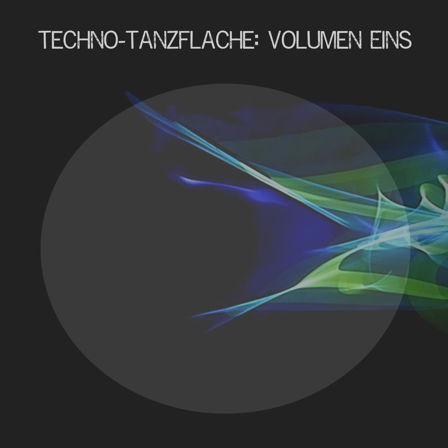 Techno-Tanzflache:, Vol. Eins