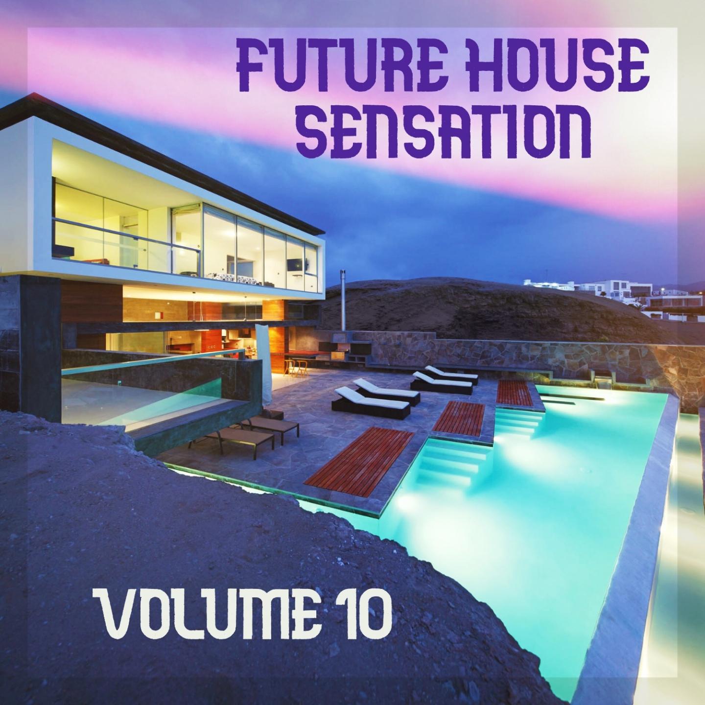 Future House Sensation, Vol.10