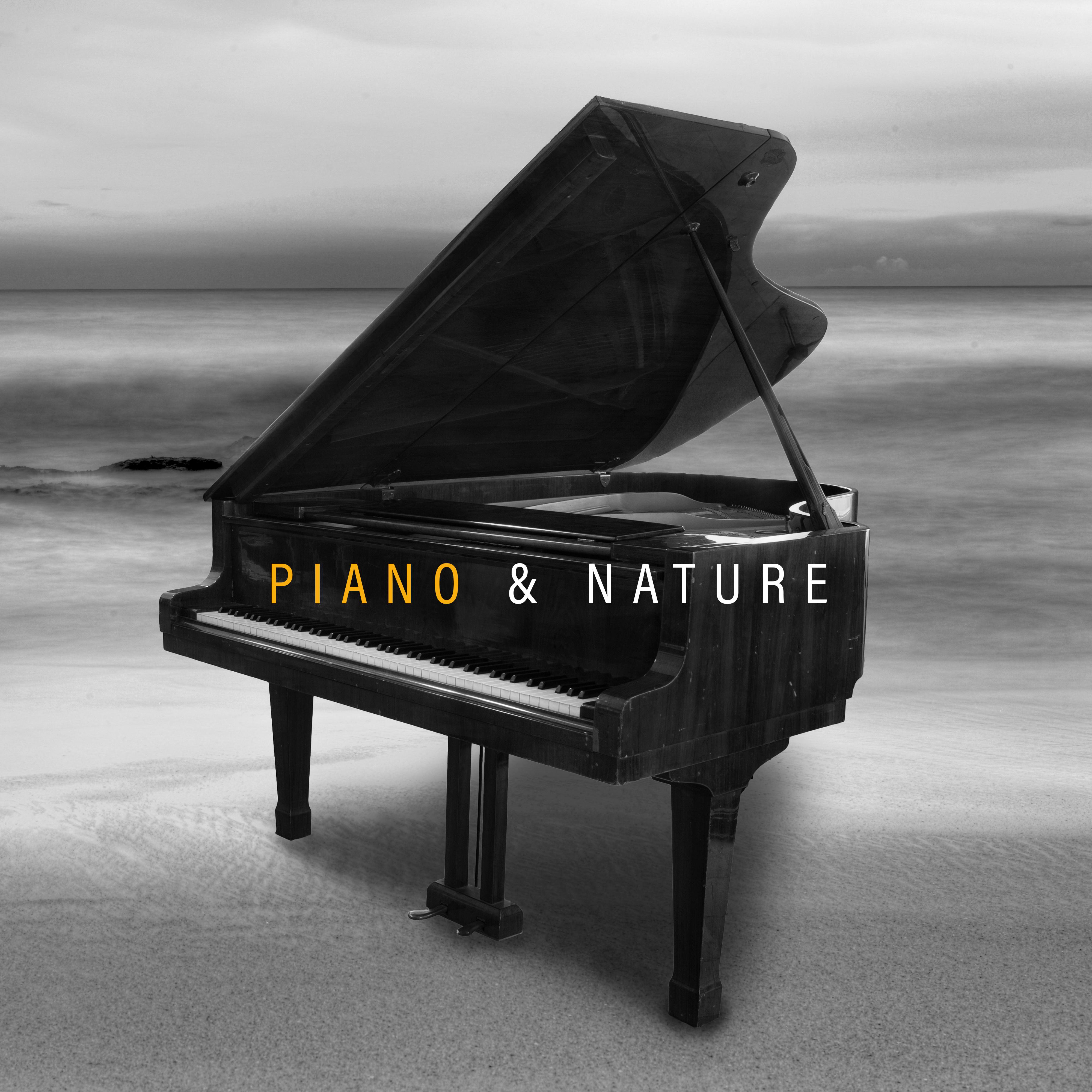 Piano & Nature - Beautiful Instrumental Music Against the Background of Nature (Music for Sleep, Rest or Relaxation)