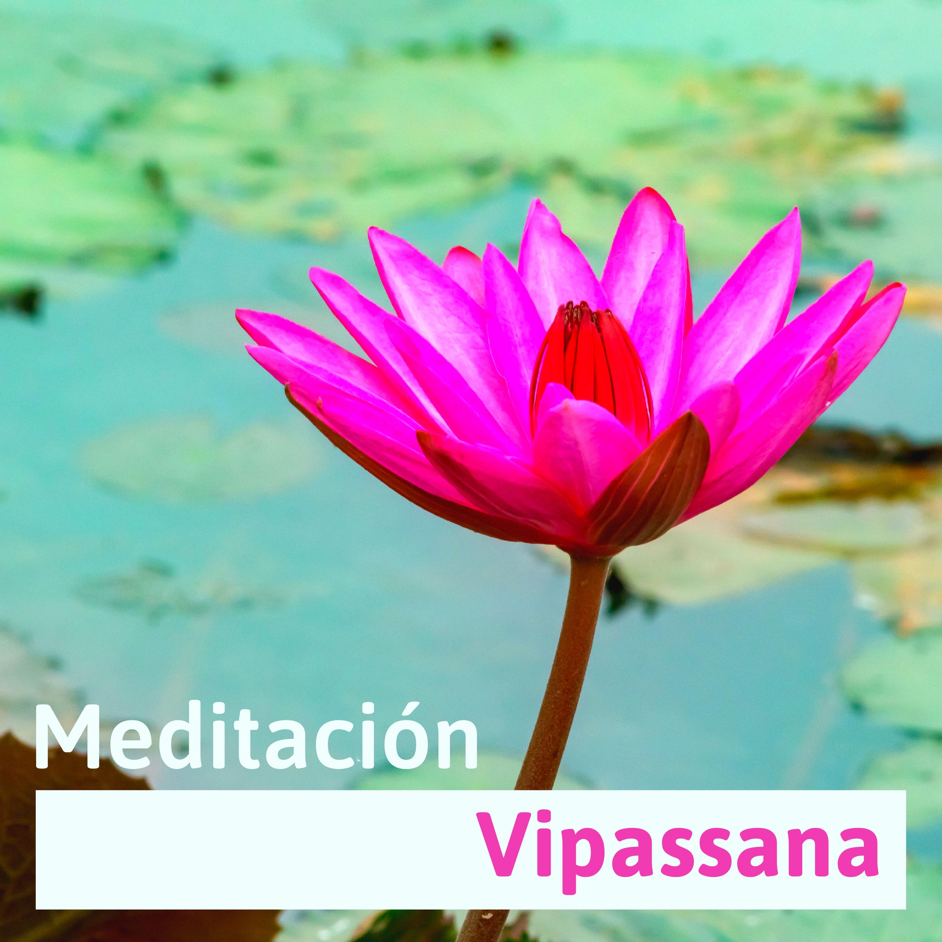 Meditacio n Vipassana  Ambiente de Yoga y Relajacio n, Retiros de Meditacio n