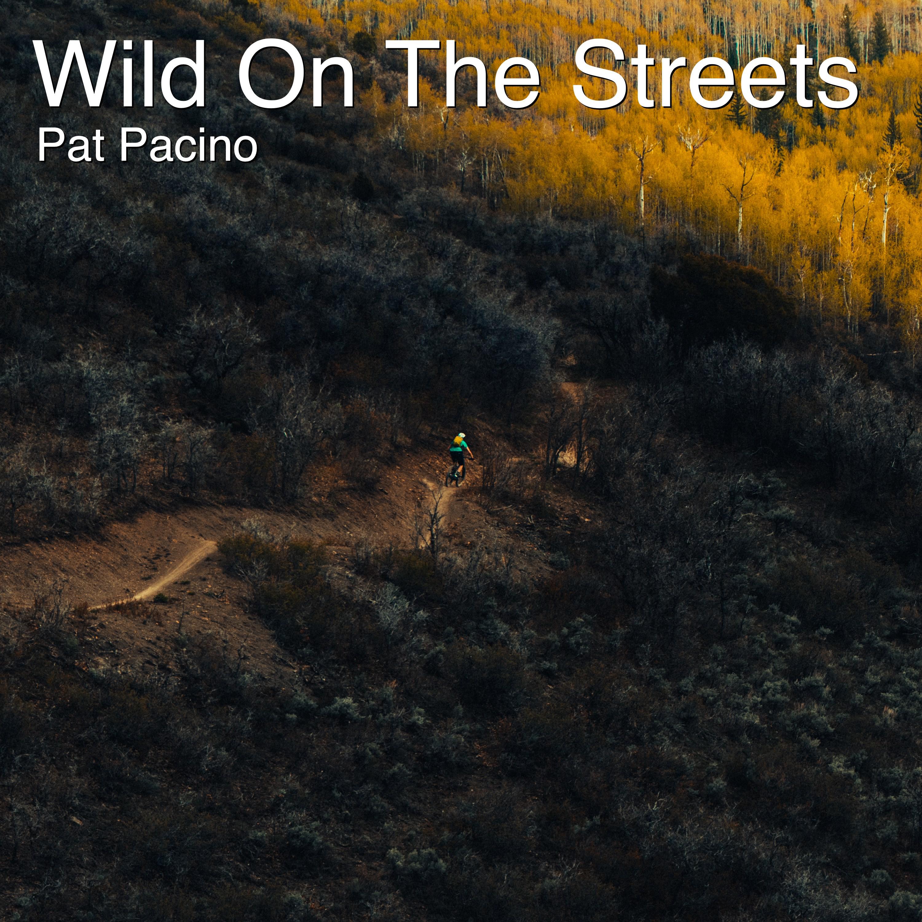 Wild on the Streets