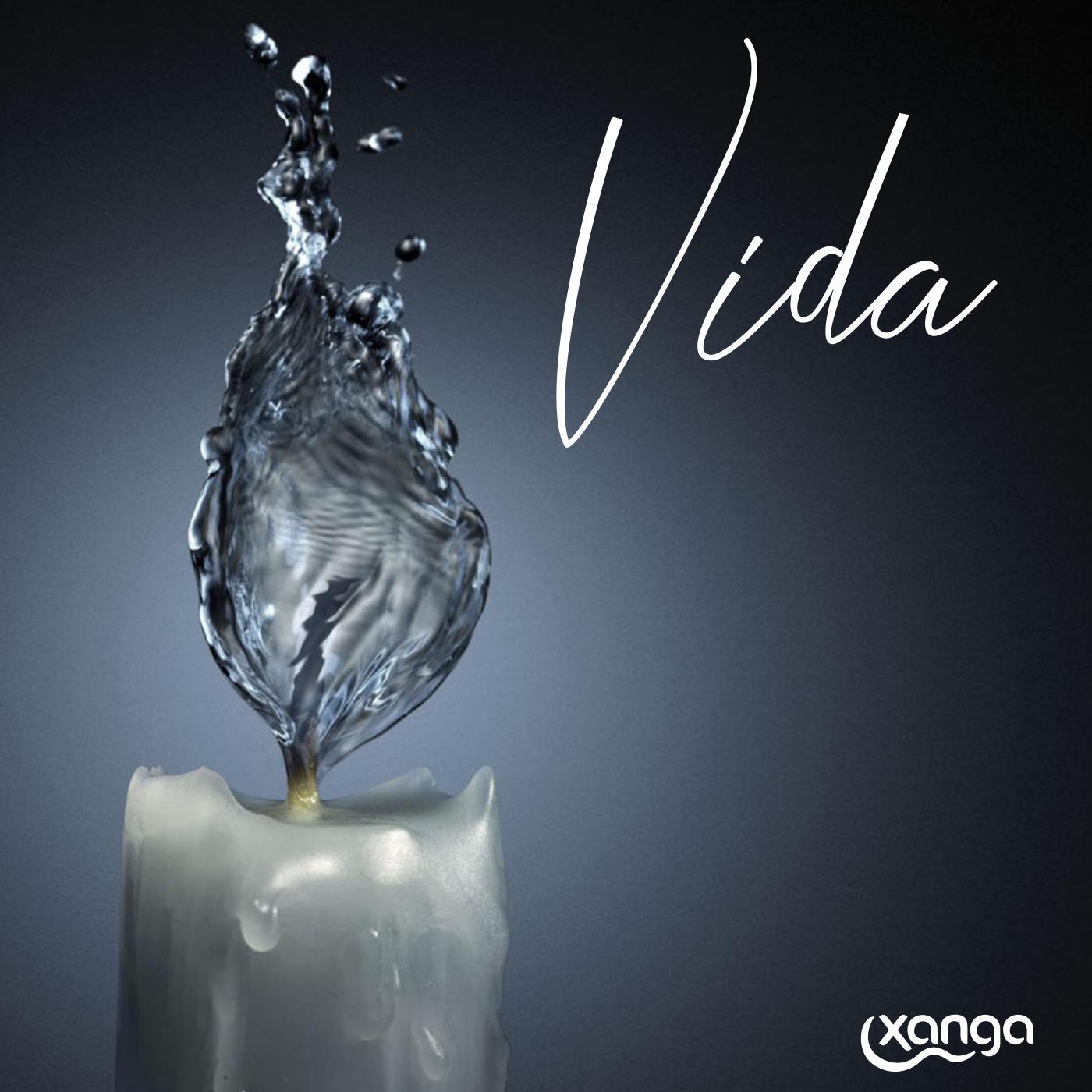 Vida