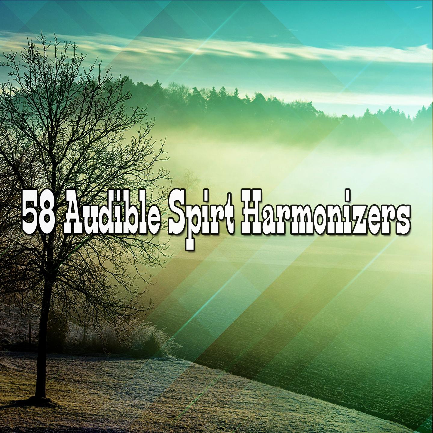 58 Audible Spirt Harmonizers