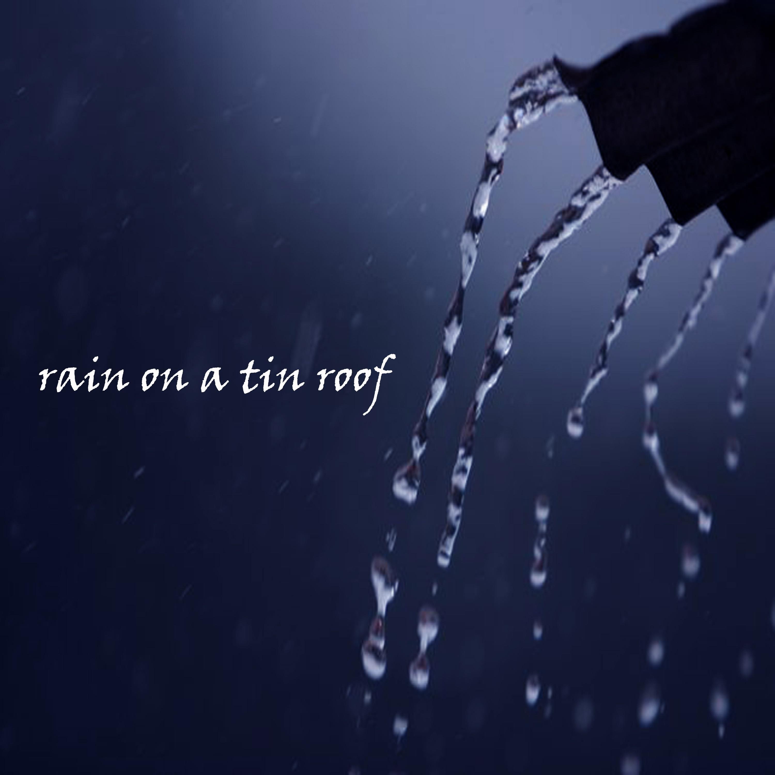 Relaxing Sounds of Rain on a Tin Roof, Pt. 41