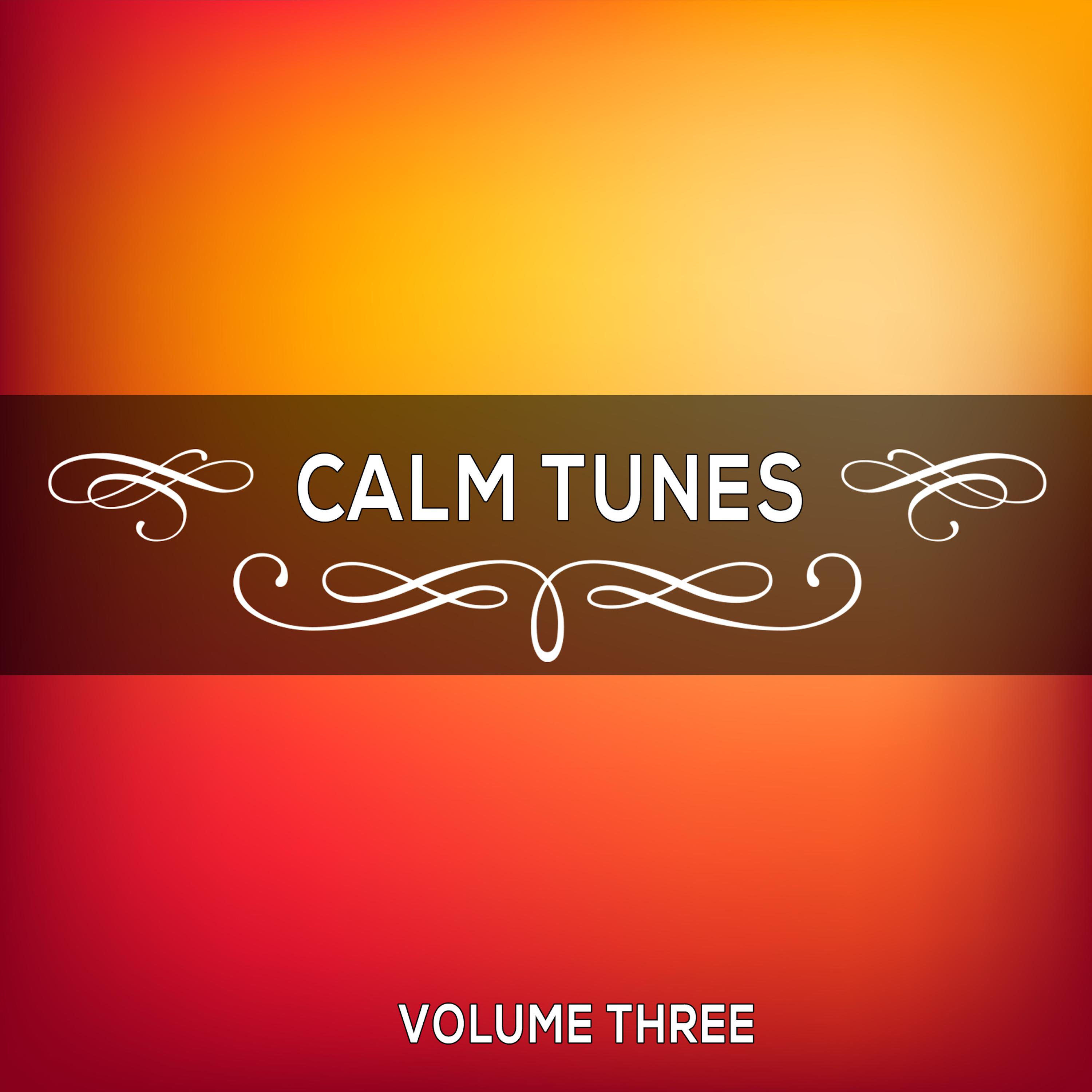 Calm Tunes, Vol. 03