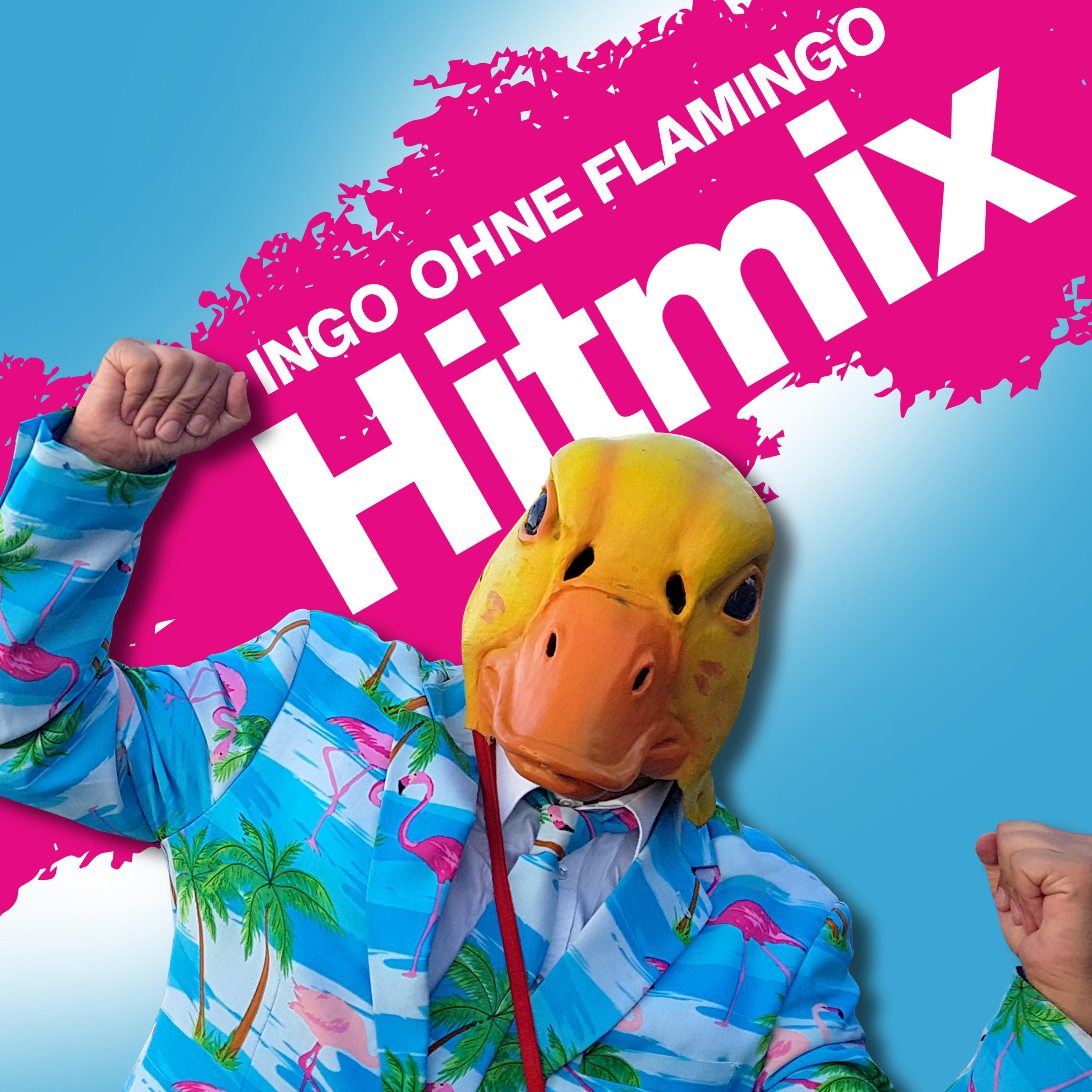 Ingo ohne Flamingo Hitmix: Saufen morgens, mittags, abends  Hartz 4 und der Tag geh rt dir  Saufen statt Laufen  Leichtigkeit