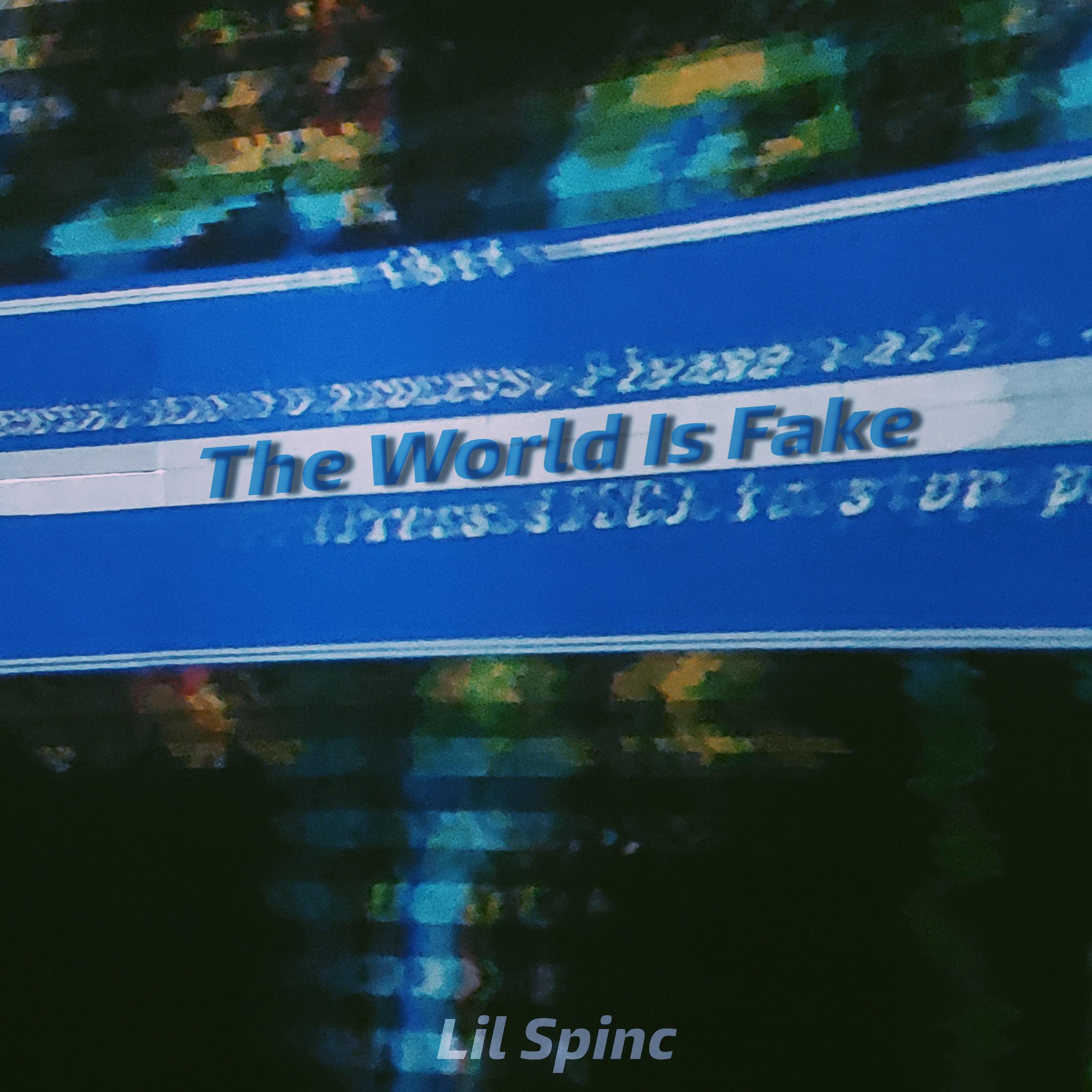 The World Is Fake