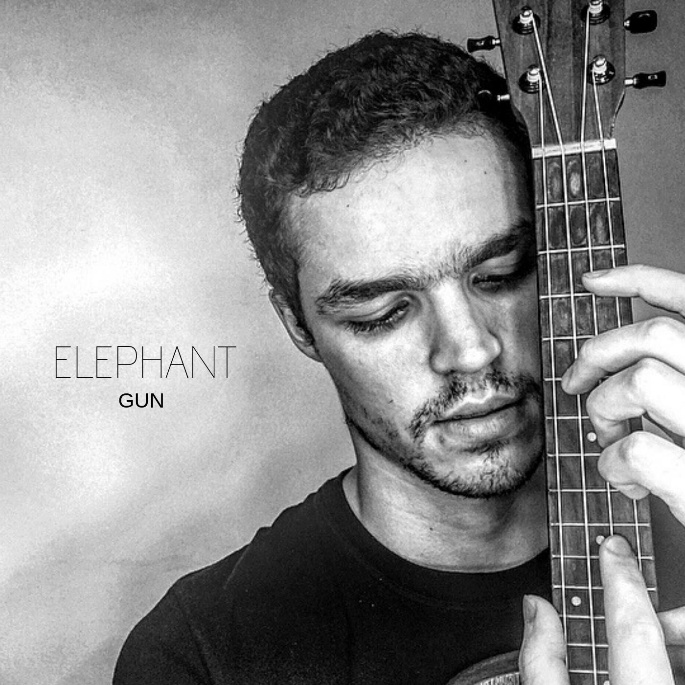 Elephant Gun