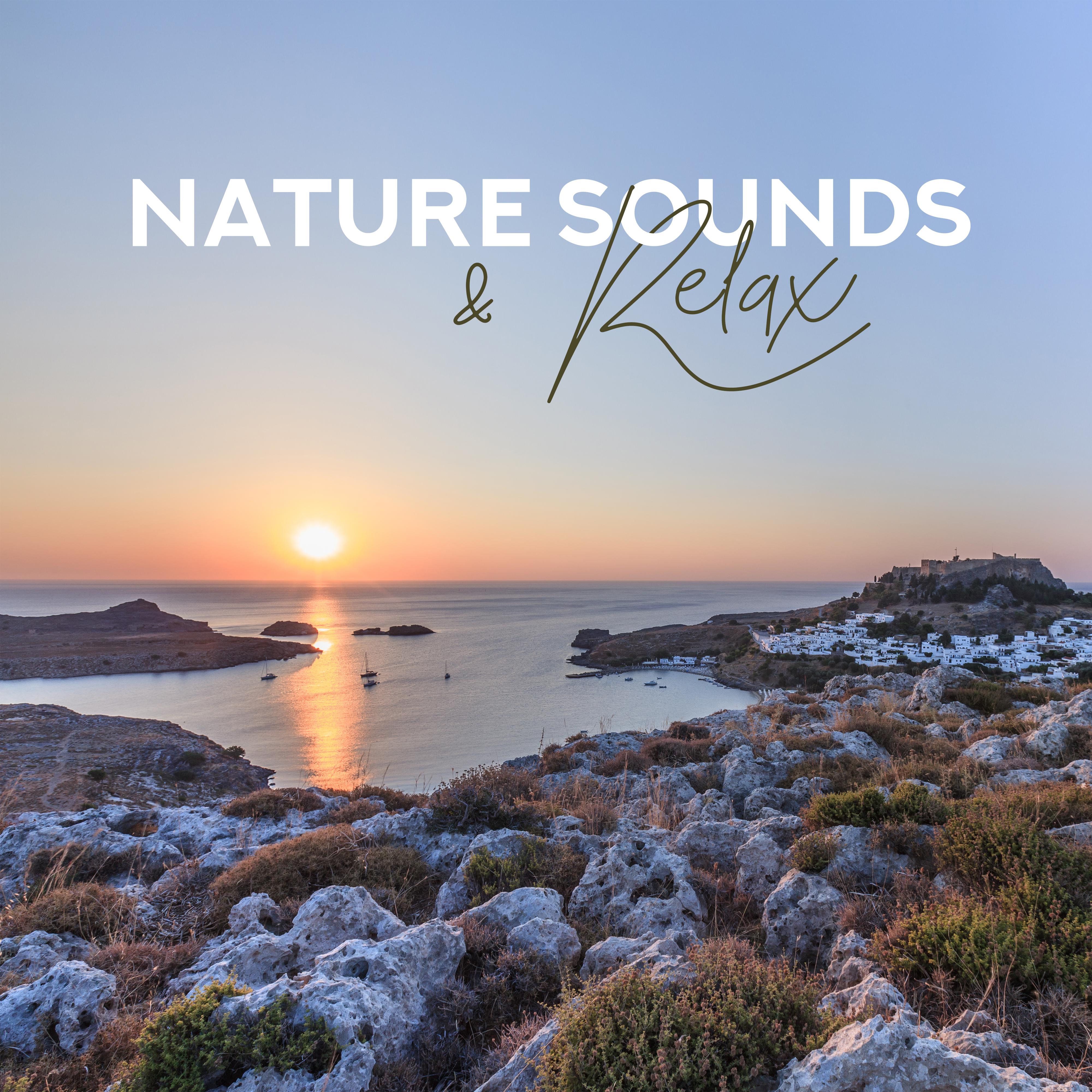 Nature Sounds  Relax  Relaxing Music Therapy, Deep Harmony, Nature Music, Calm Down, Zen Lounge