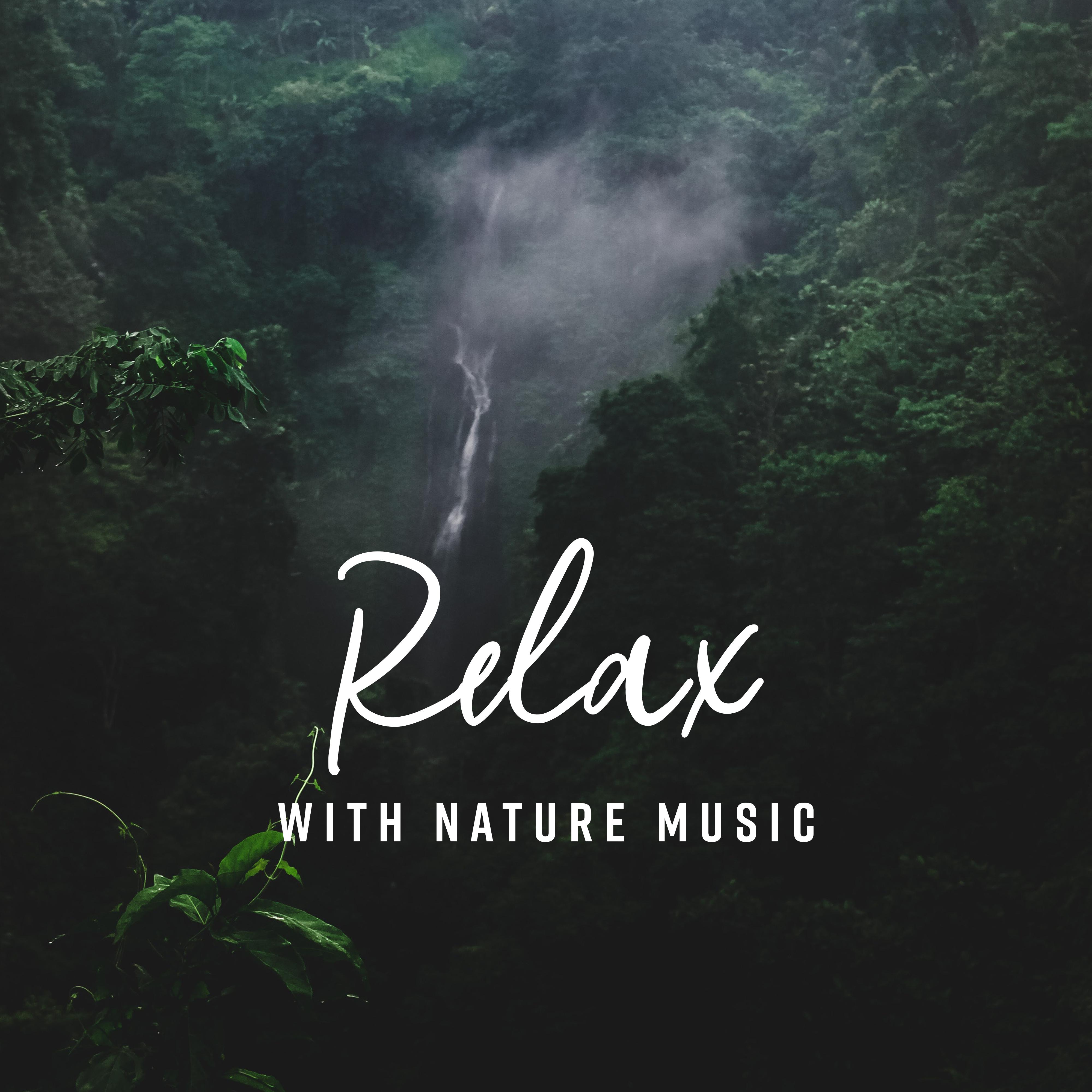 Relax with Nature Music  Relaxing Music Therapy, Stress Relief, 15 Nature Sounds for Sleep, Inner Balance, Full Concentration, Zen, Sounds of Nature