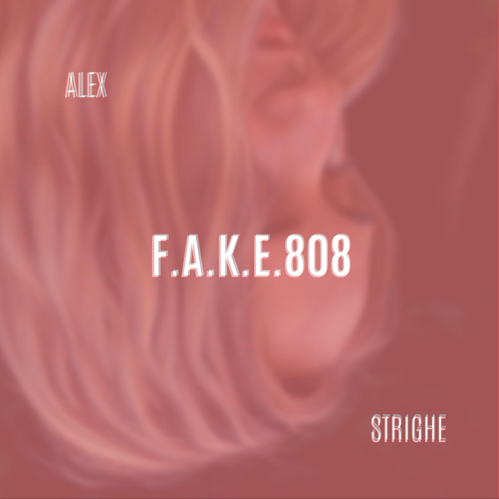 F.A.K.E.808