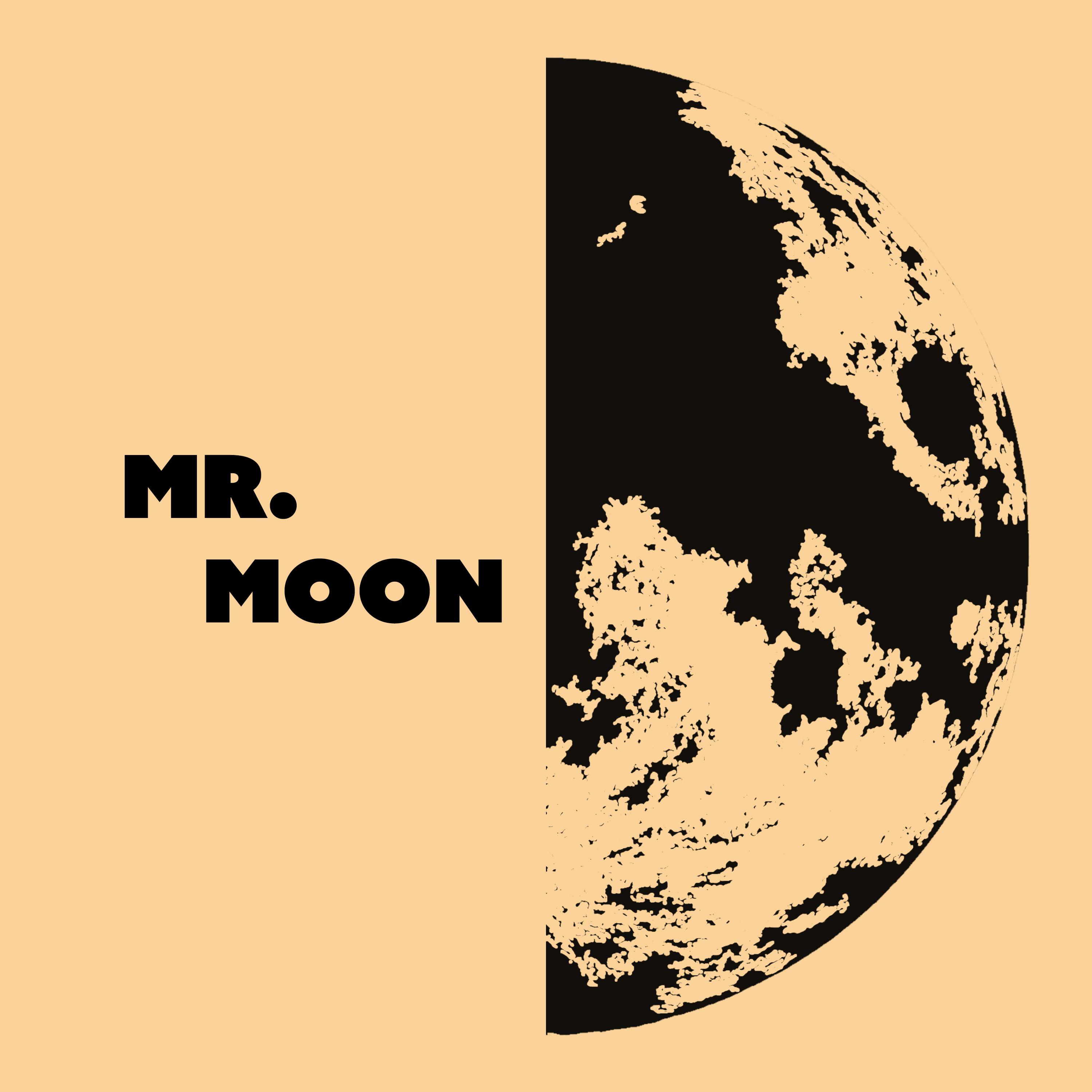 Mr. Moon