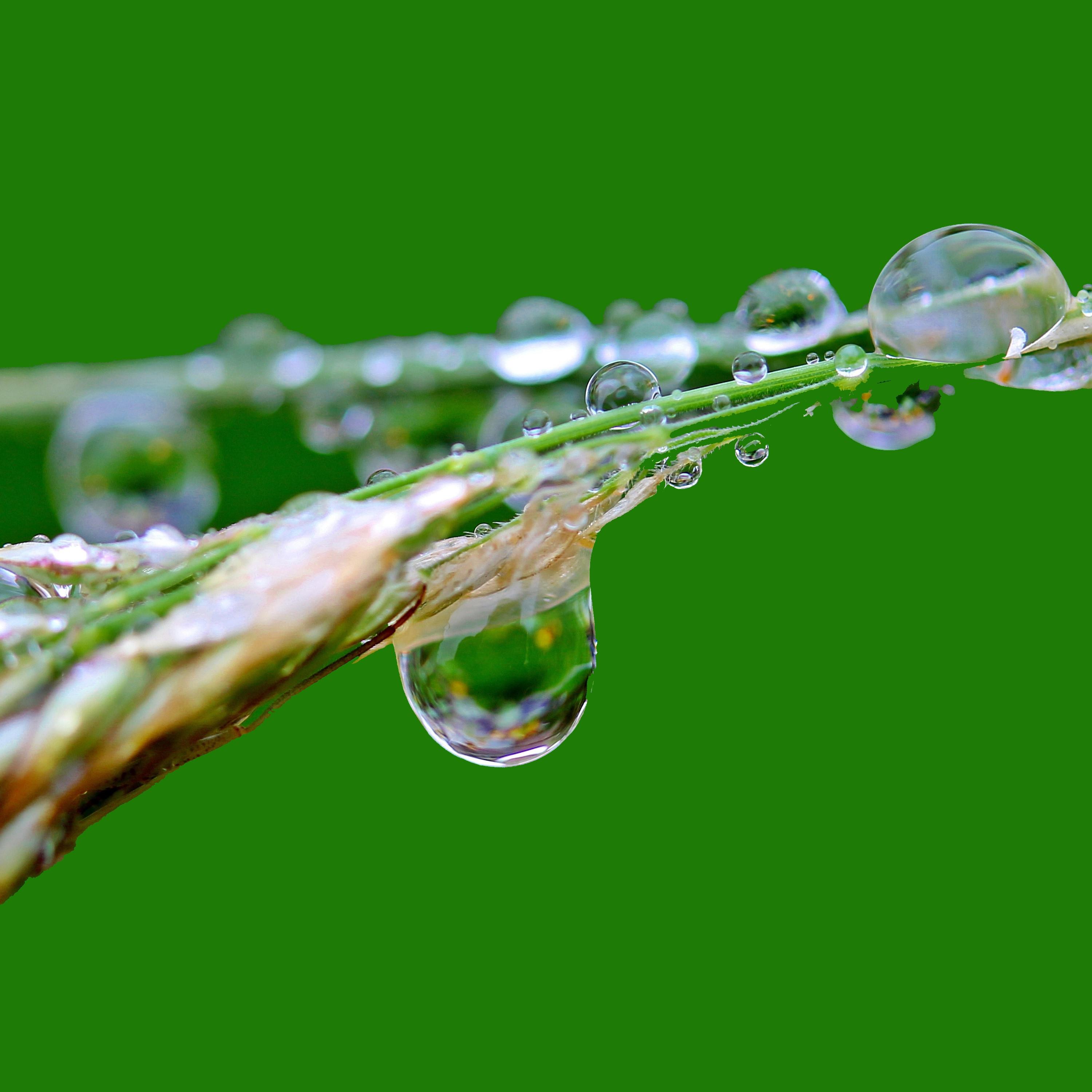 15 Mezcla De Sonidos De Lluvias De Verano Y Tormentas De Primavera Relajantes