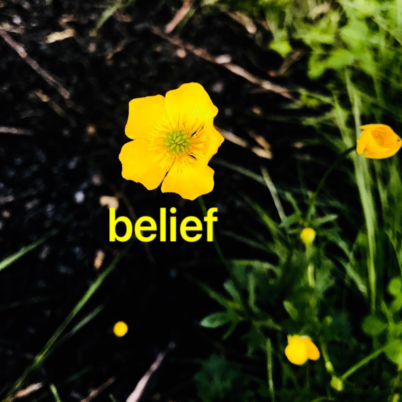 Belief