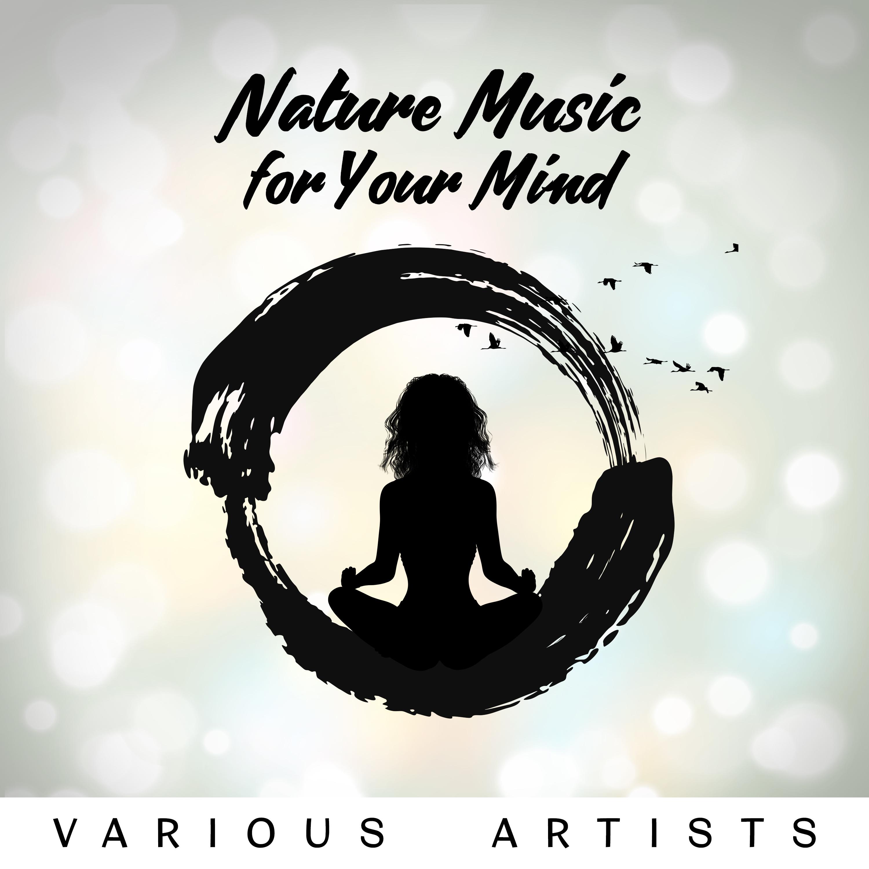 Nature Music for Your Mind  Spiritual Tai Chi
