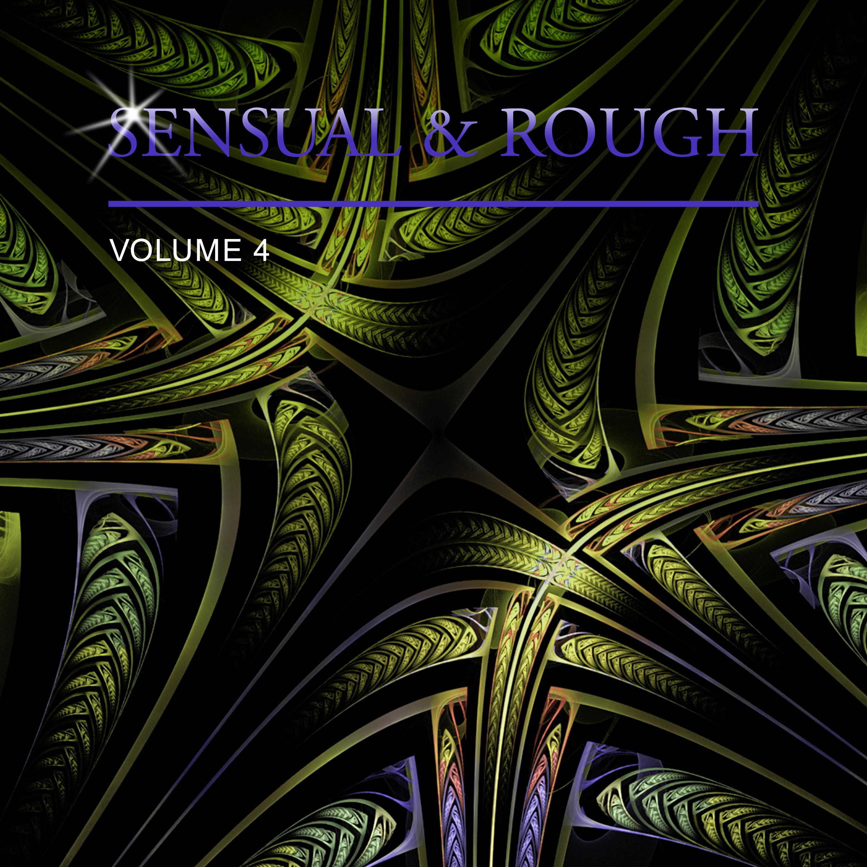 Sensual & Rough, Vol. 4