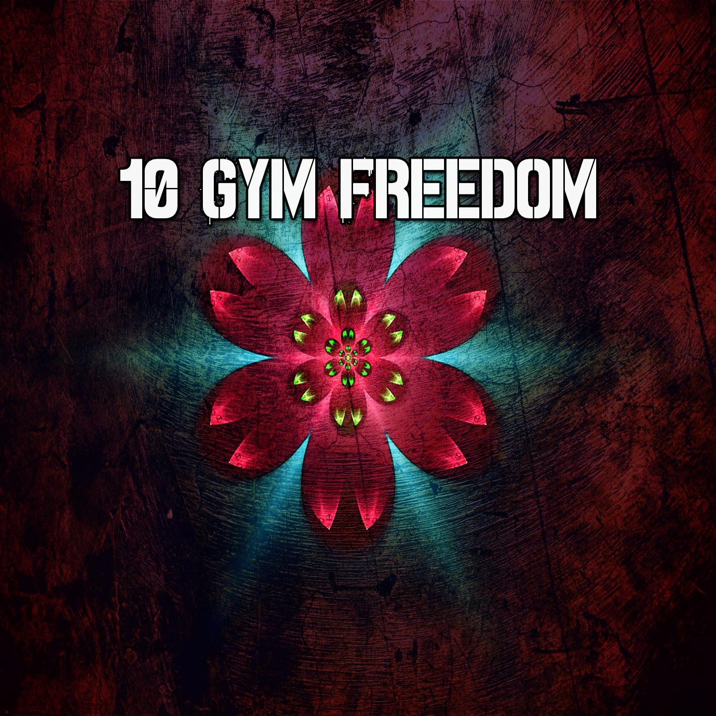 10 Gym Freedom