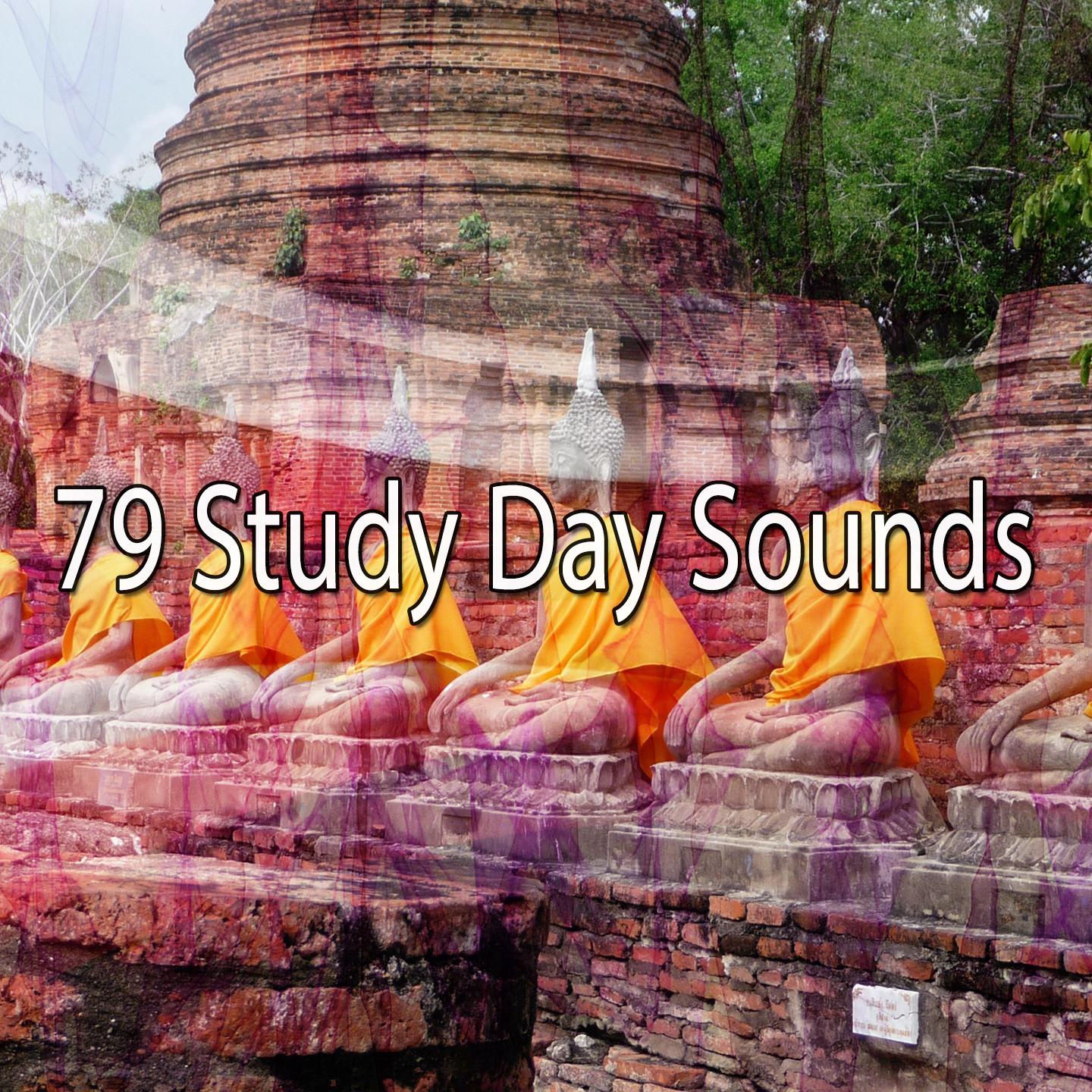 79 Study Day Sounds