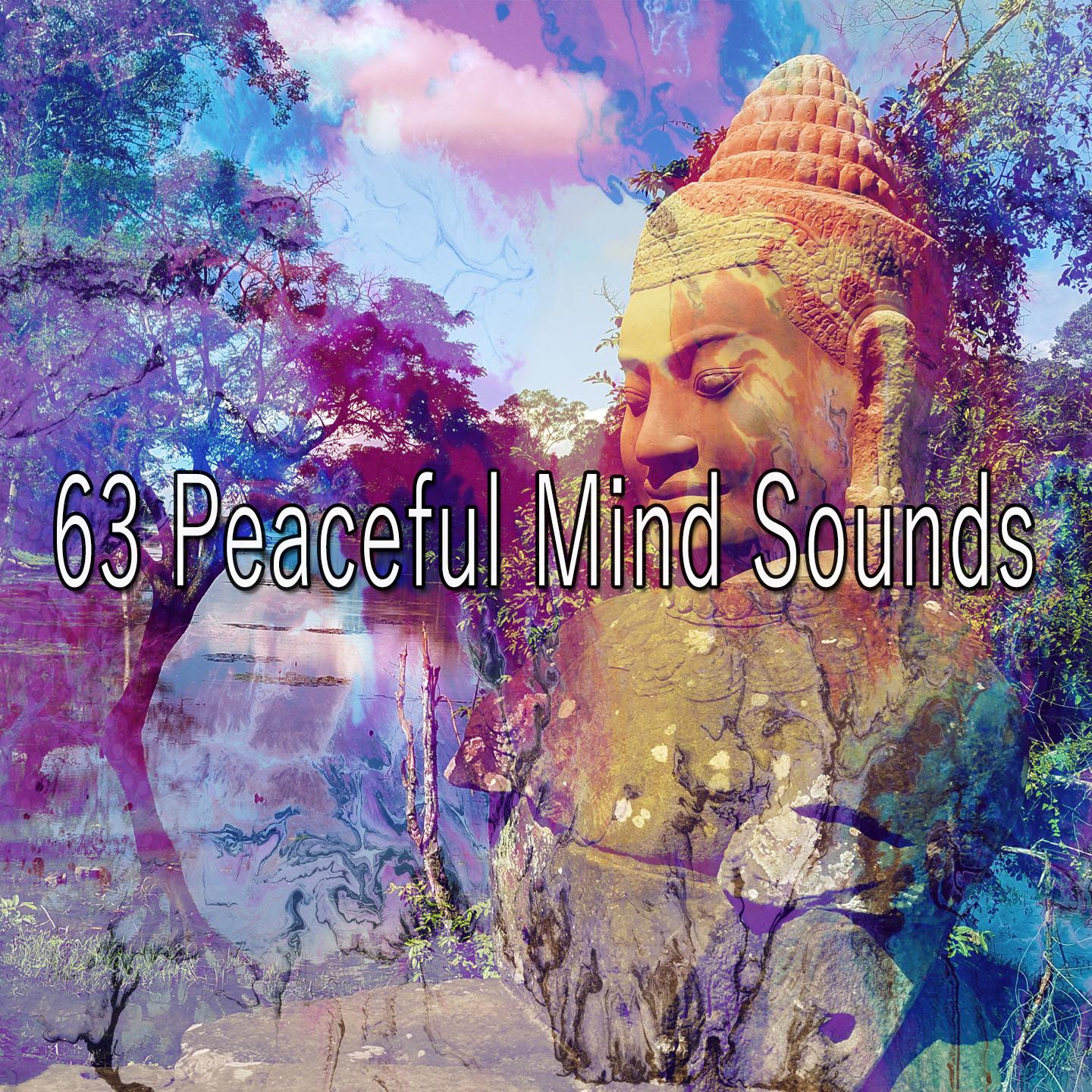 63 Peaceful Mind Sounds