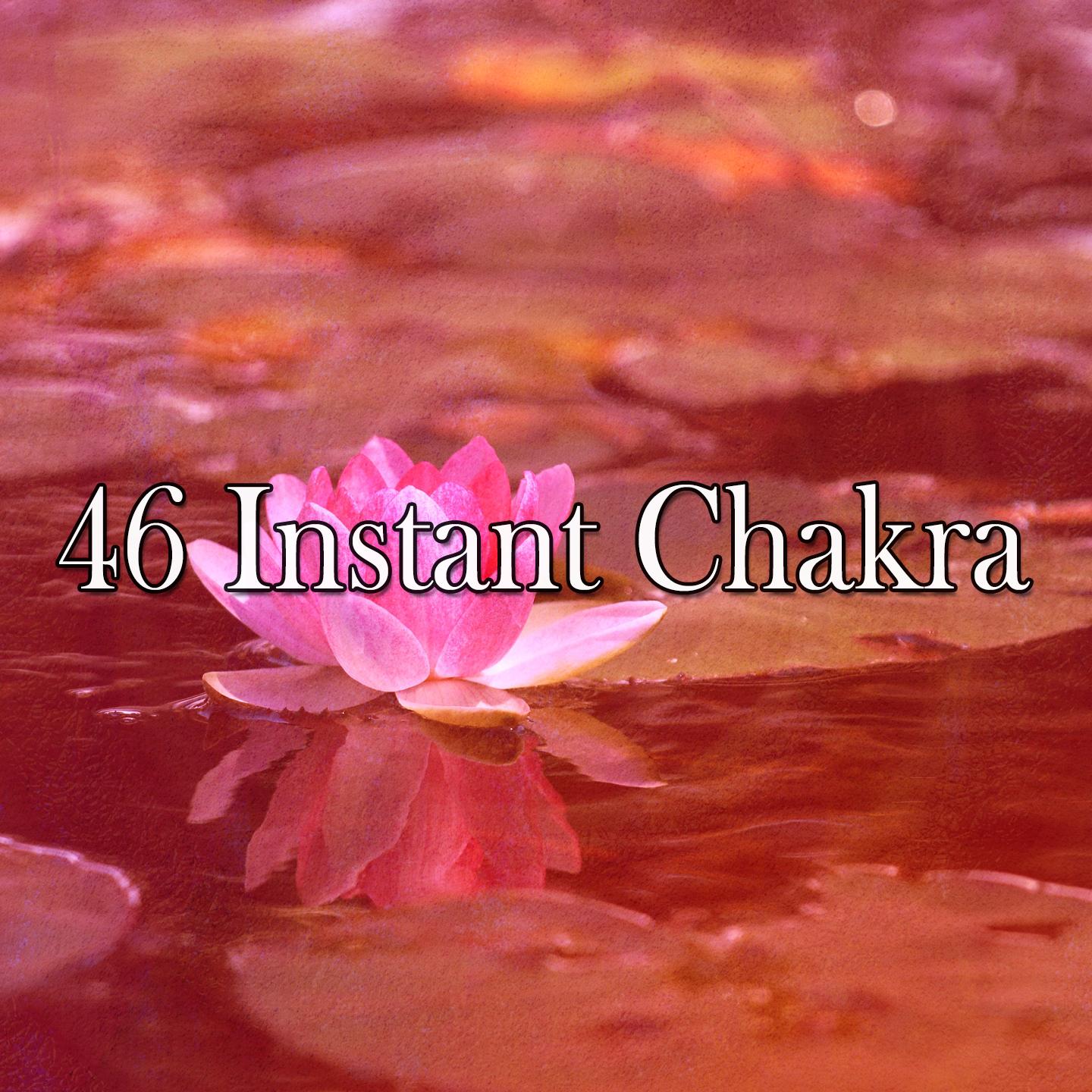 46 Instant Chakra