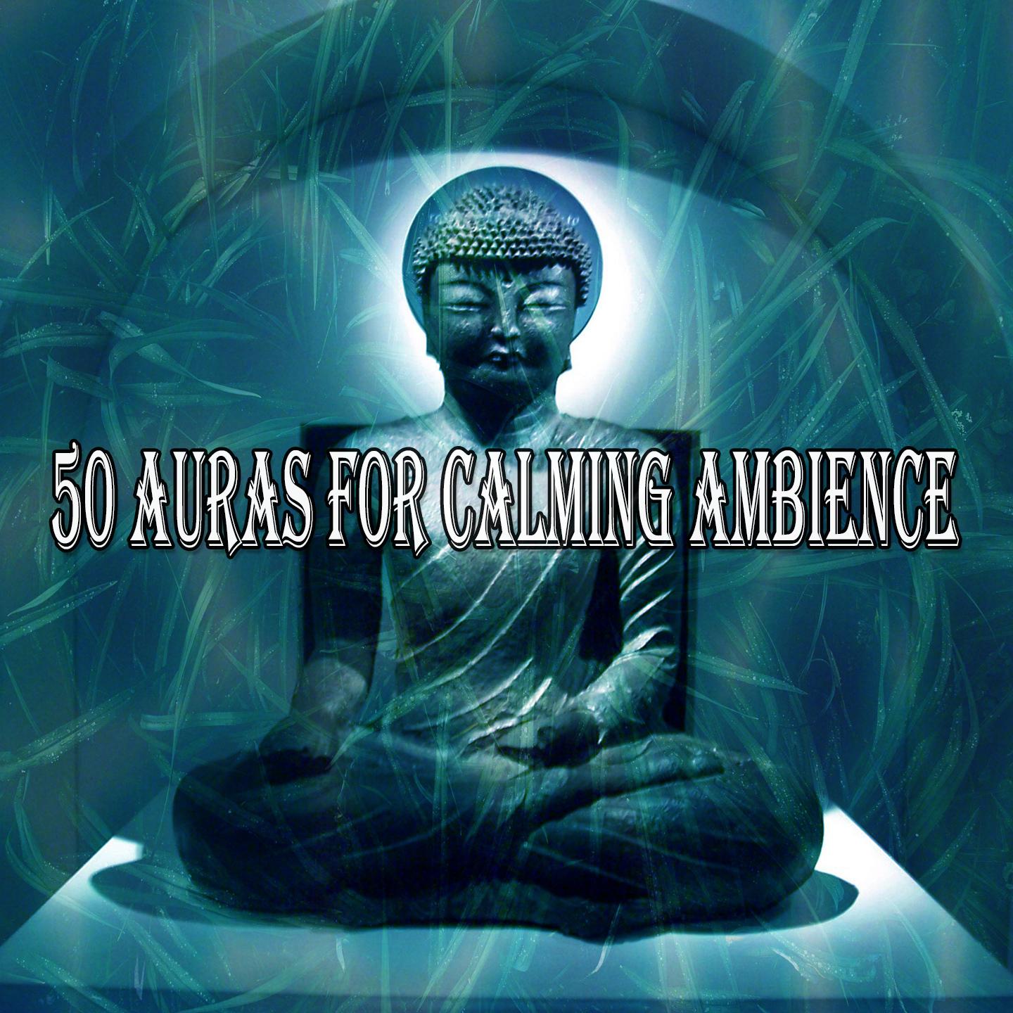50 Auras for Calming Ambience