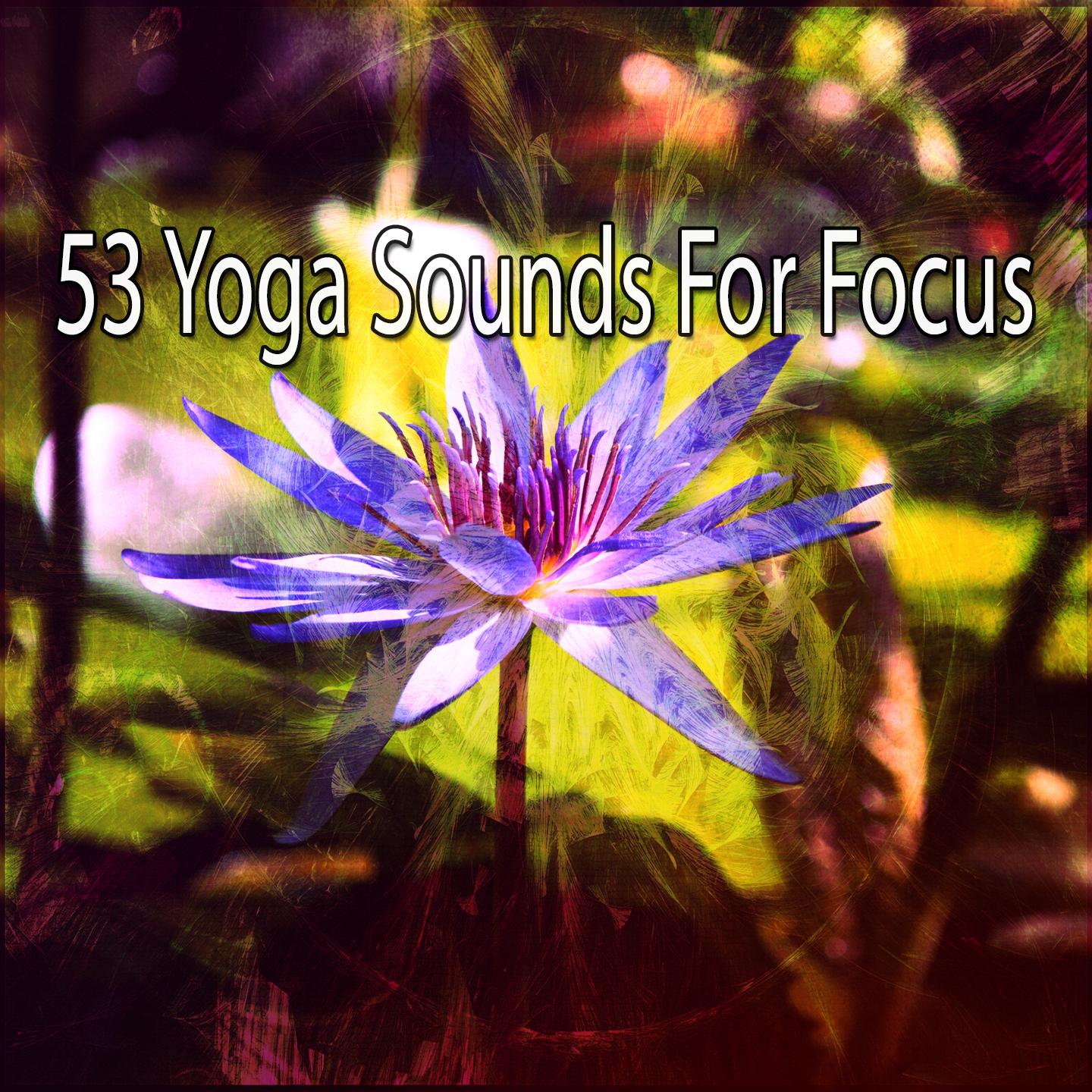 53 Yoga Sounds for Focus