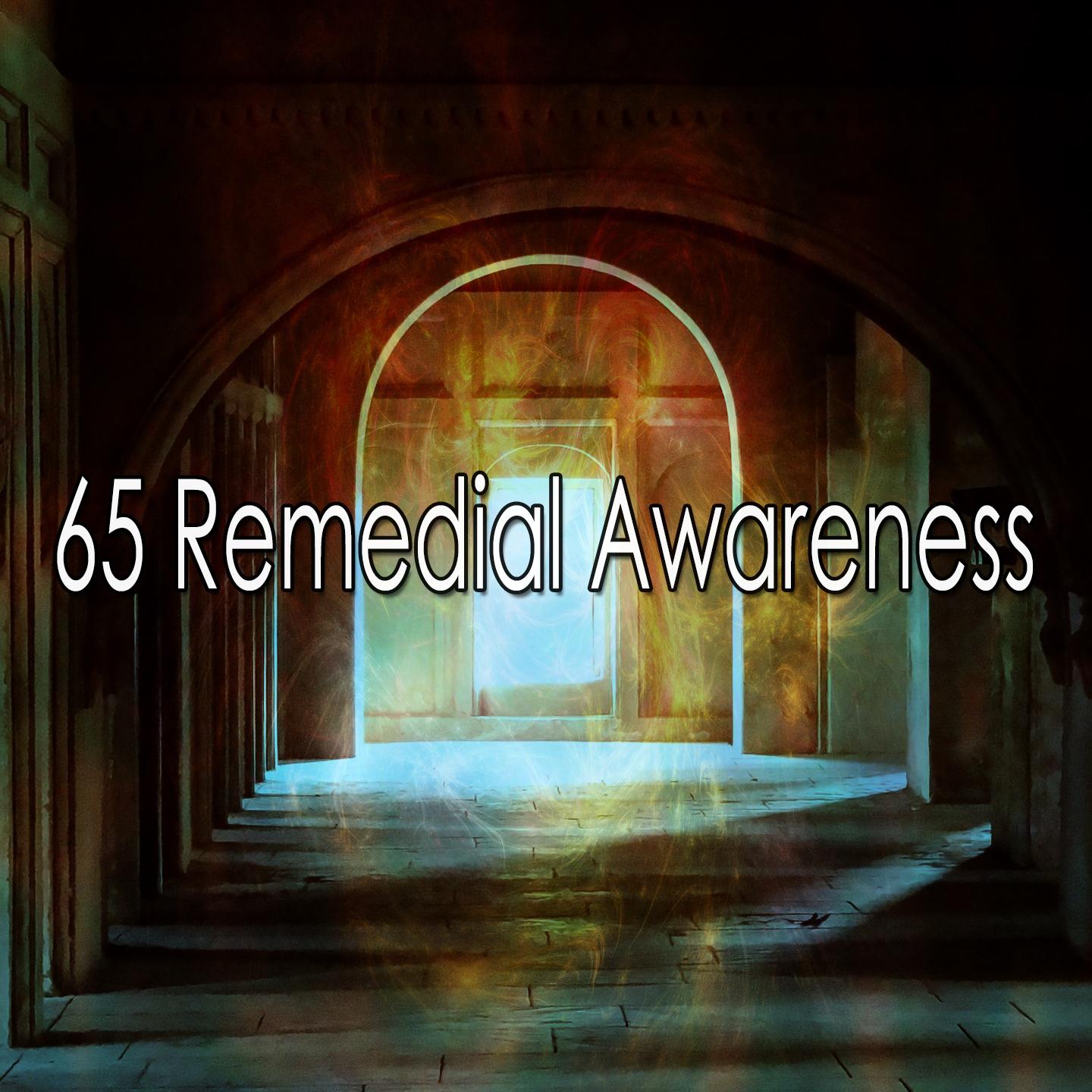 65 Remedial Awareness