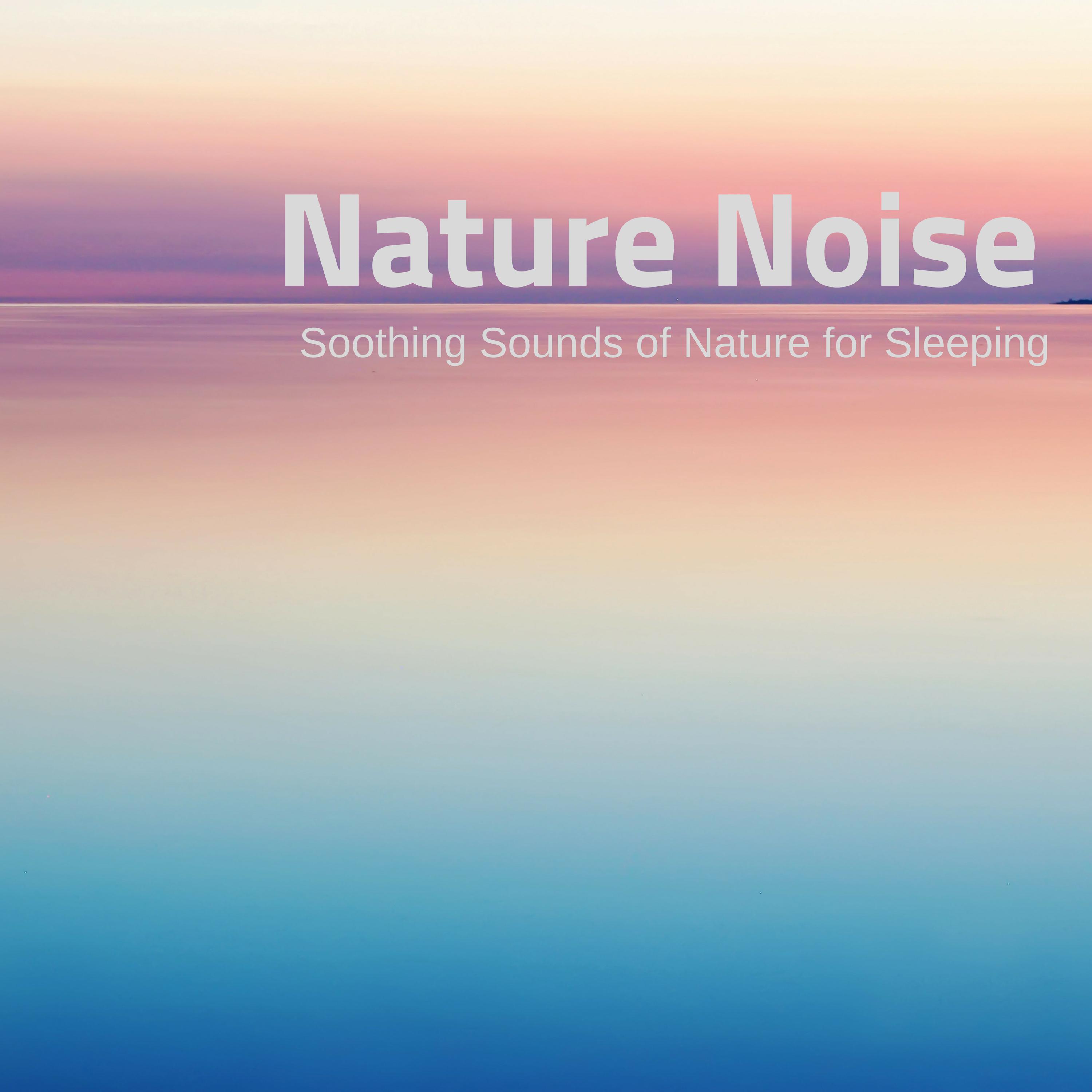 Nature Noise - Soothing Sounds of Nature for Sleeping