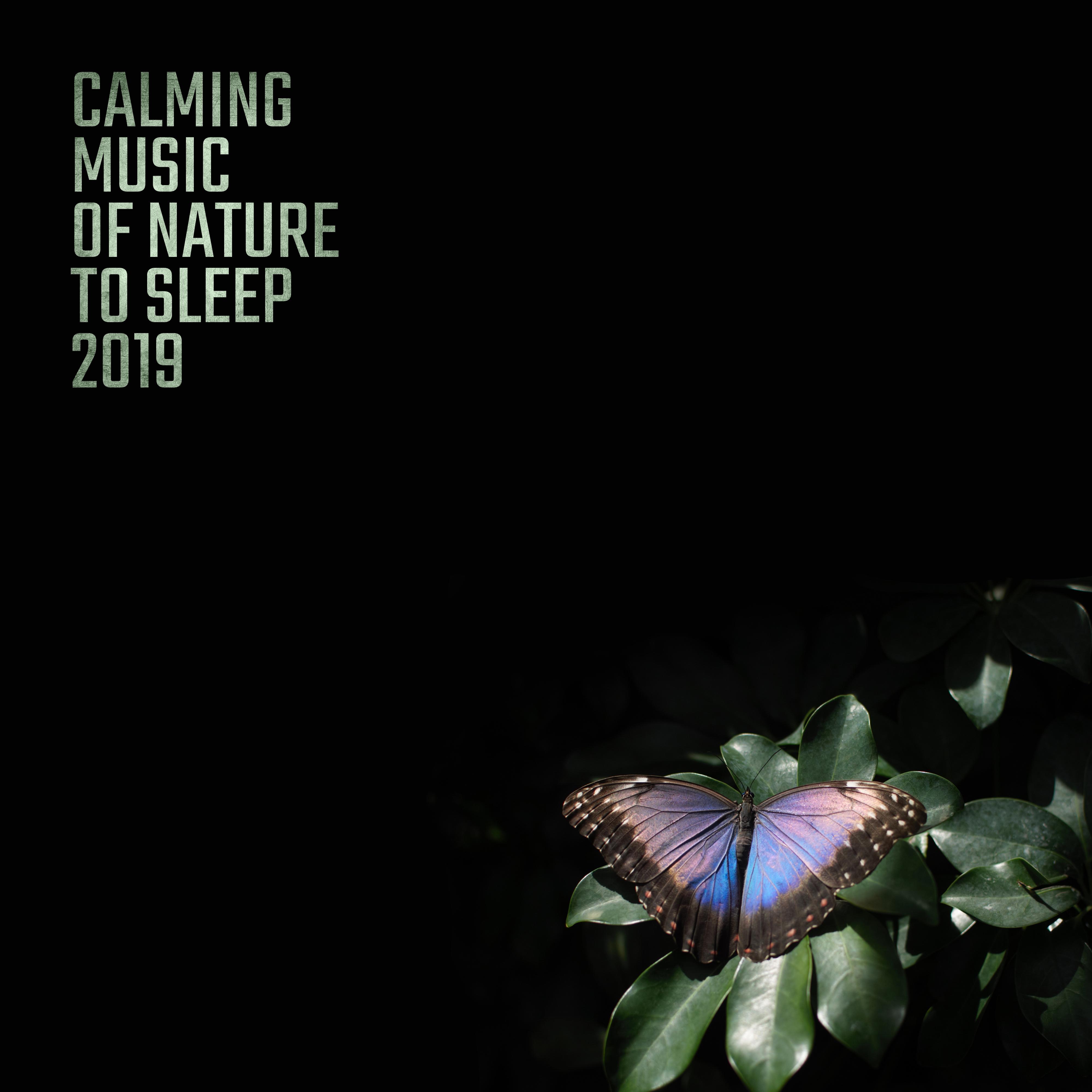 Calming Music of Nature to Sleep 2019