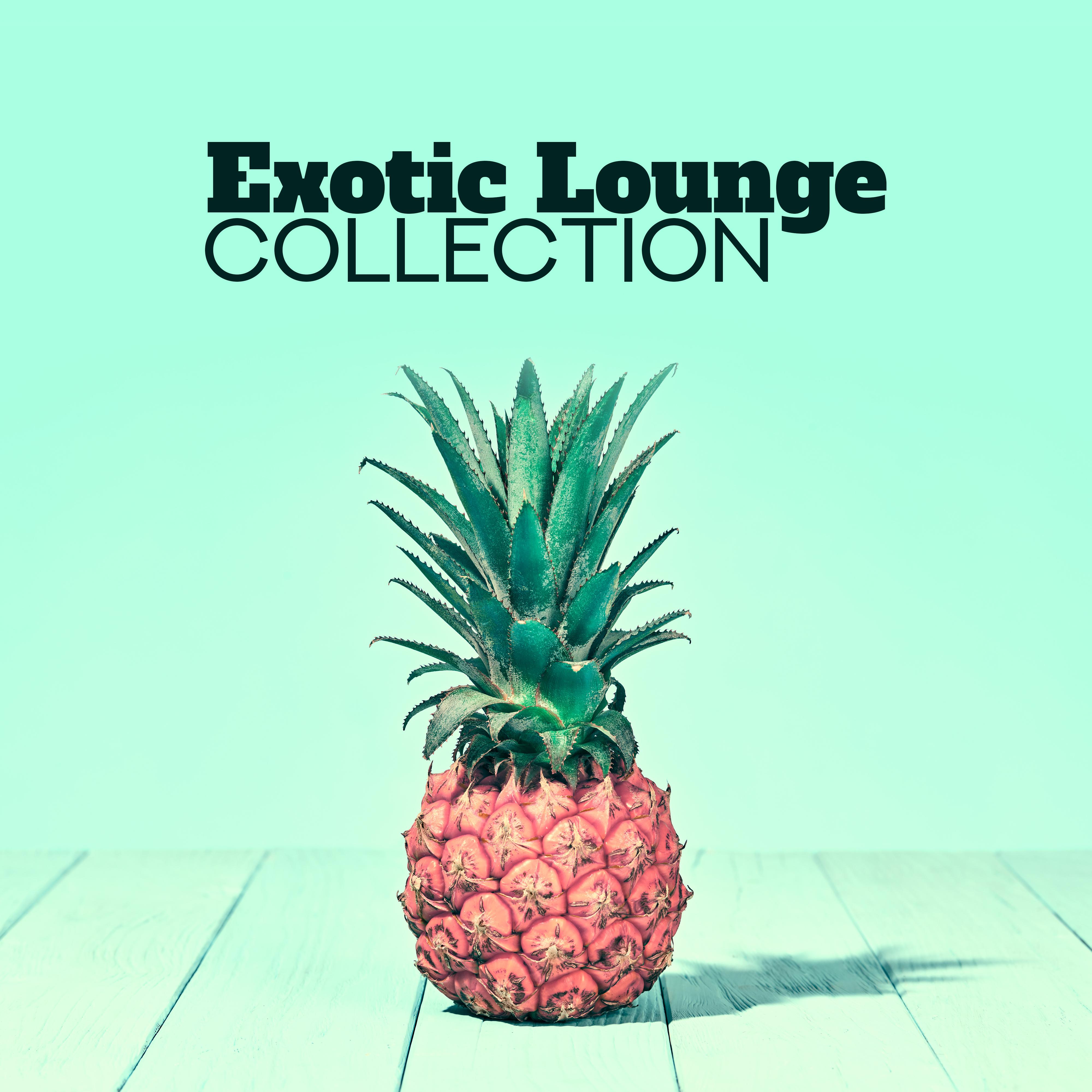 Exotic Lounge Collection  Beach Chillout, Ibiza Relaxation, Calm Down, Ibiza Lounge, Summer Music, Beach Party Vibrations, Tropical Music