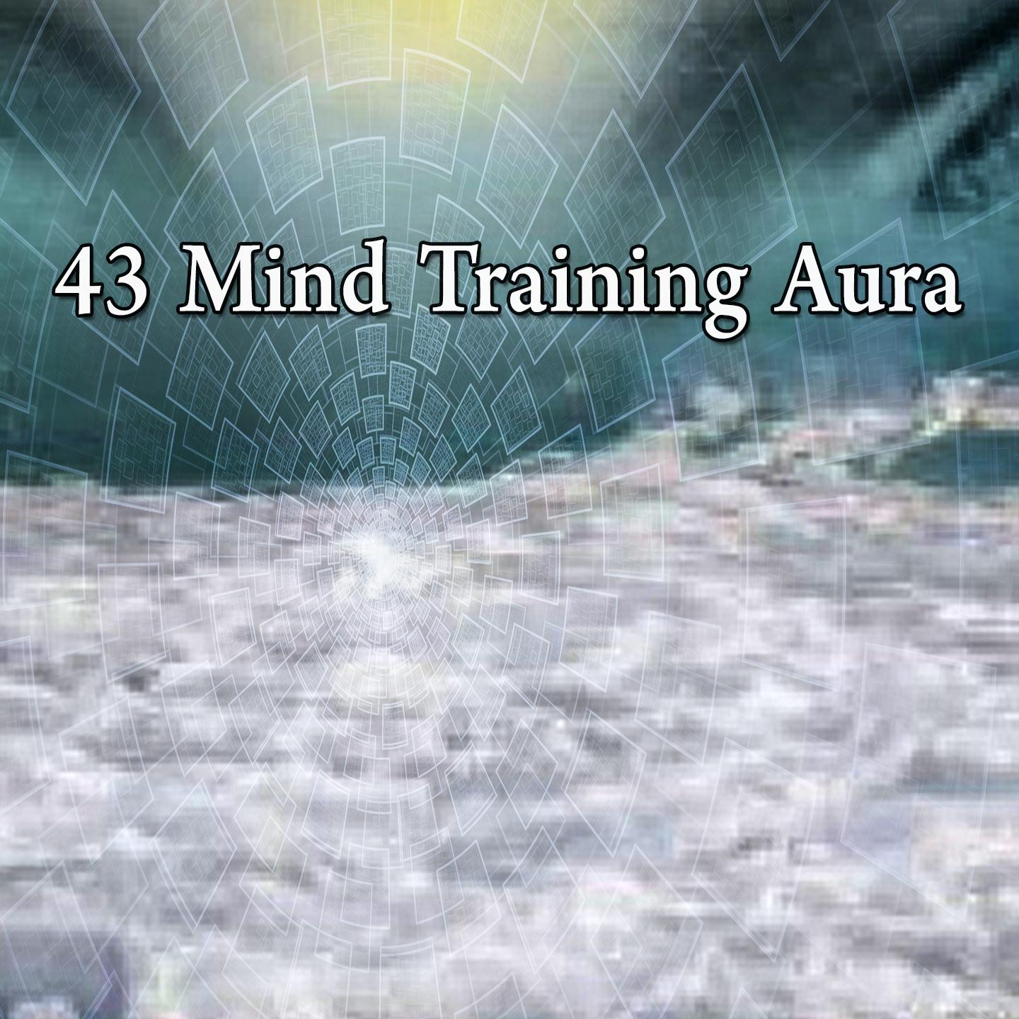 43 Mind Training Aura