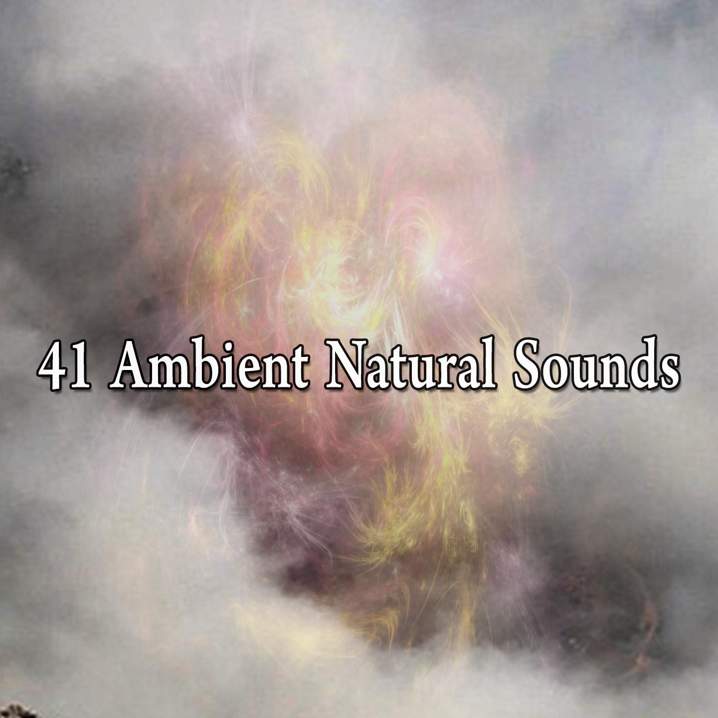 41 Ambient Natural Sounds