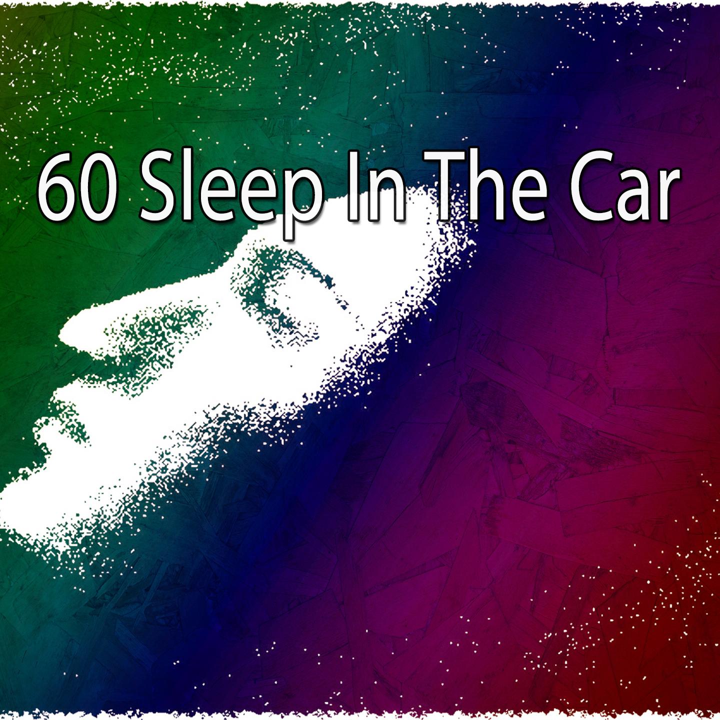 60 Sleep in the Car