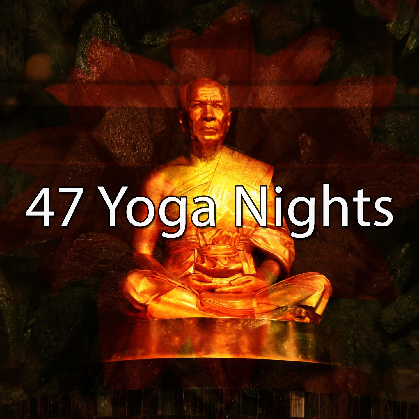 47 Yoga Nights