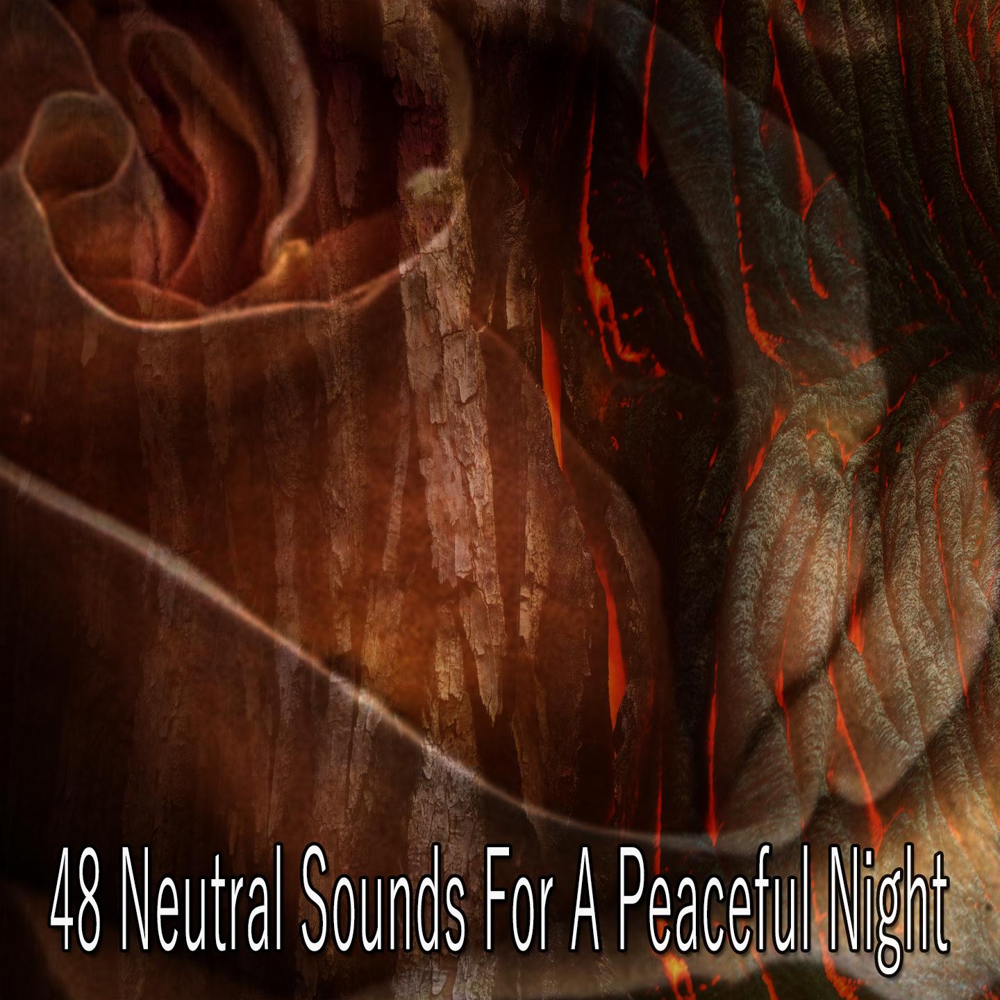 48 Neutral Sounds for a Peaceful Night