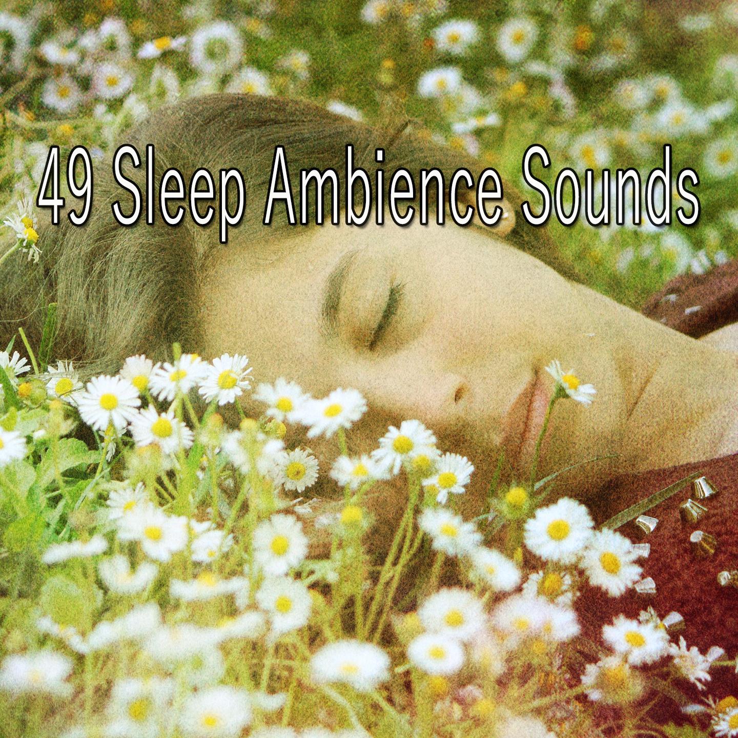 49 Sleep Ambience Sounds