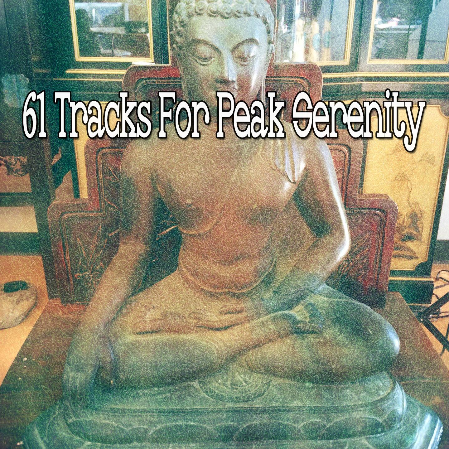 61 Tracks for Peak Serenity