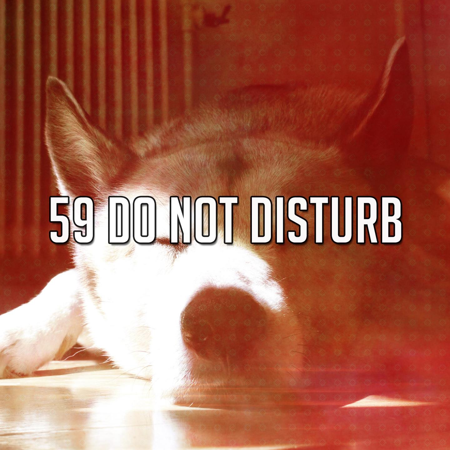 59 Do Not Disturb