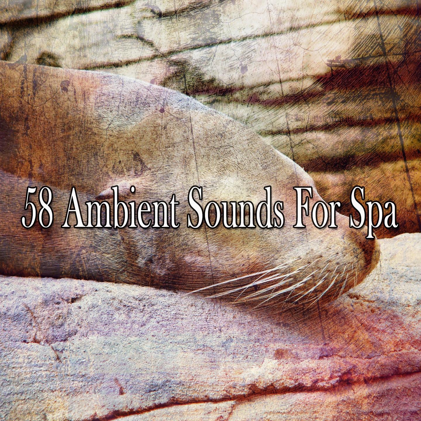 58 Ambient Sounds for Spa