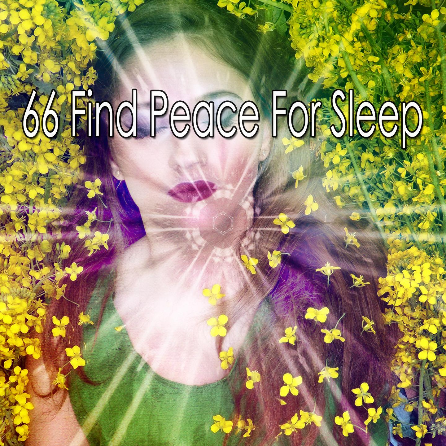 66 Find Peace for Sleep
